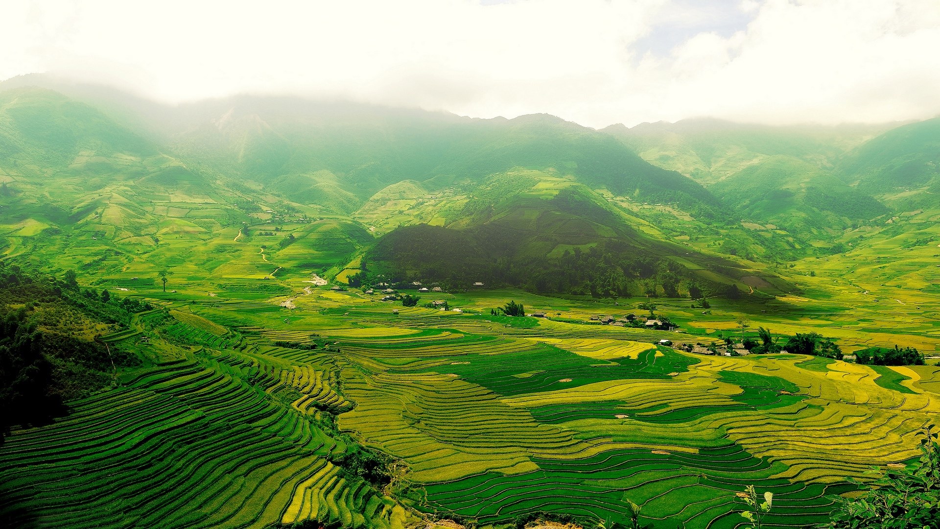 Terraced rice fields in a valley with mountains HD Wallpaper