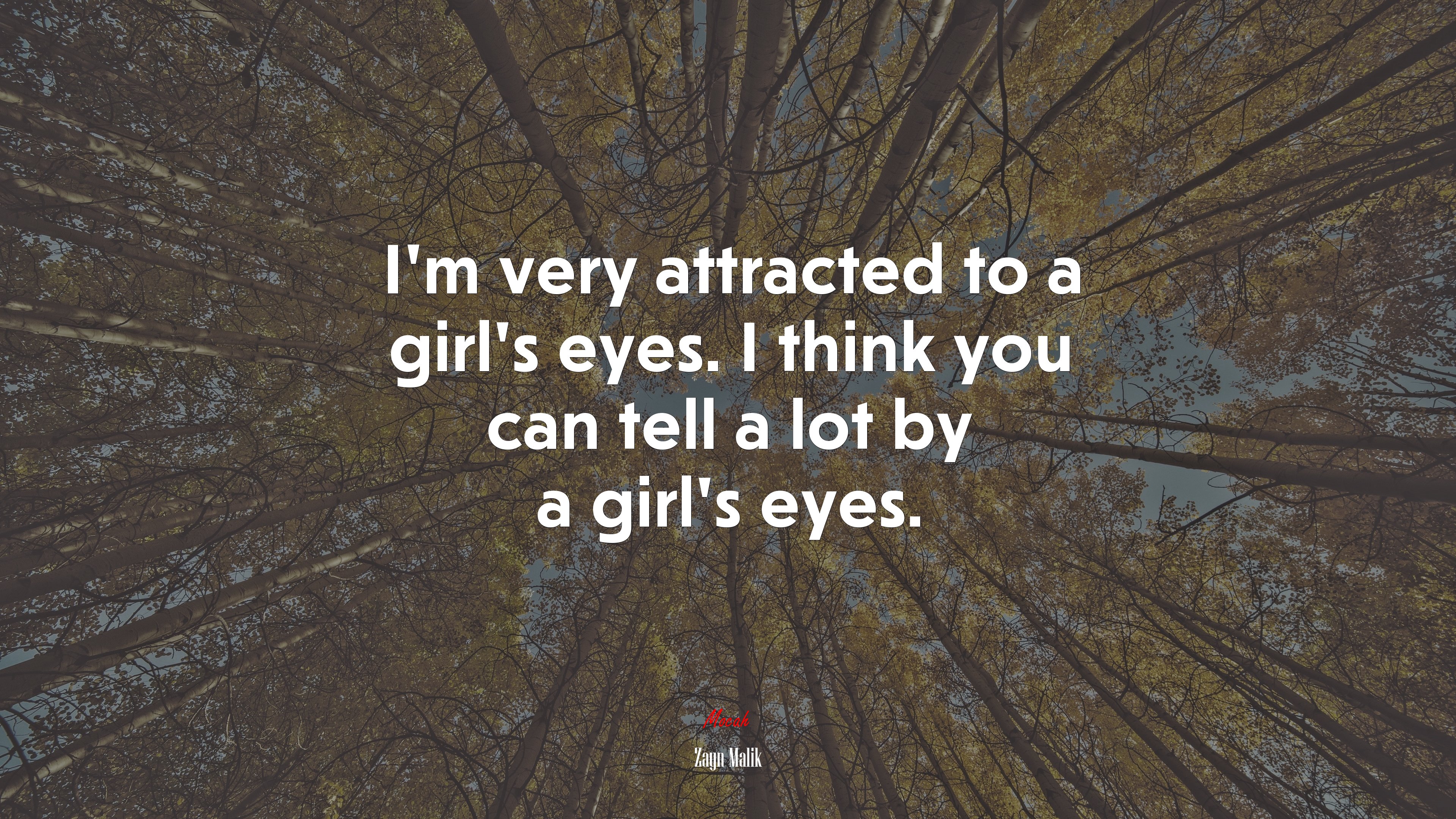 I’m very attracted to a girl’s eyes. I think you can tell a lot by a girl’s eyes. | Zayn Malik quote HD Wallpaper