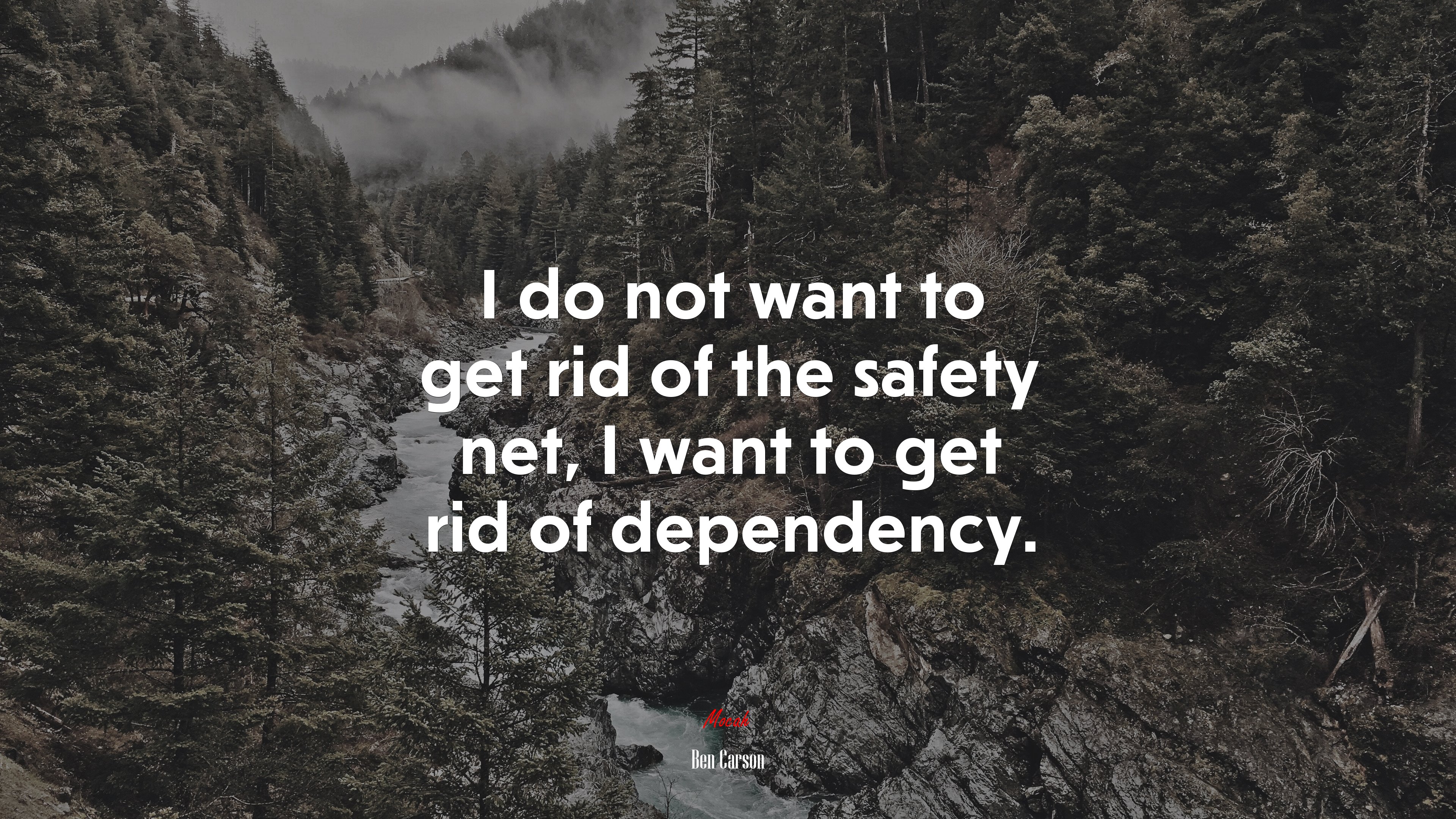 I do not want to get rid of the safety net, I want to get rid of dependency. | Ben Carson quote HD Wallpaper