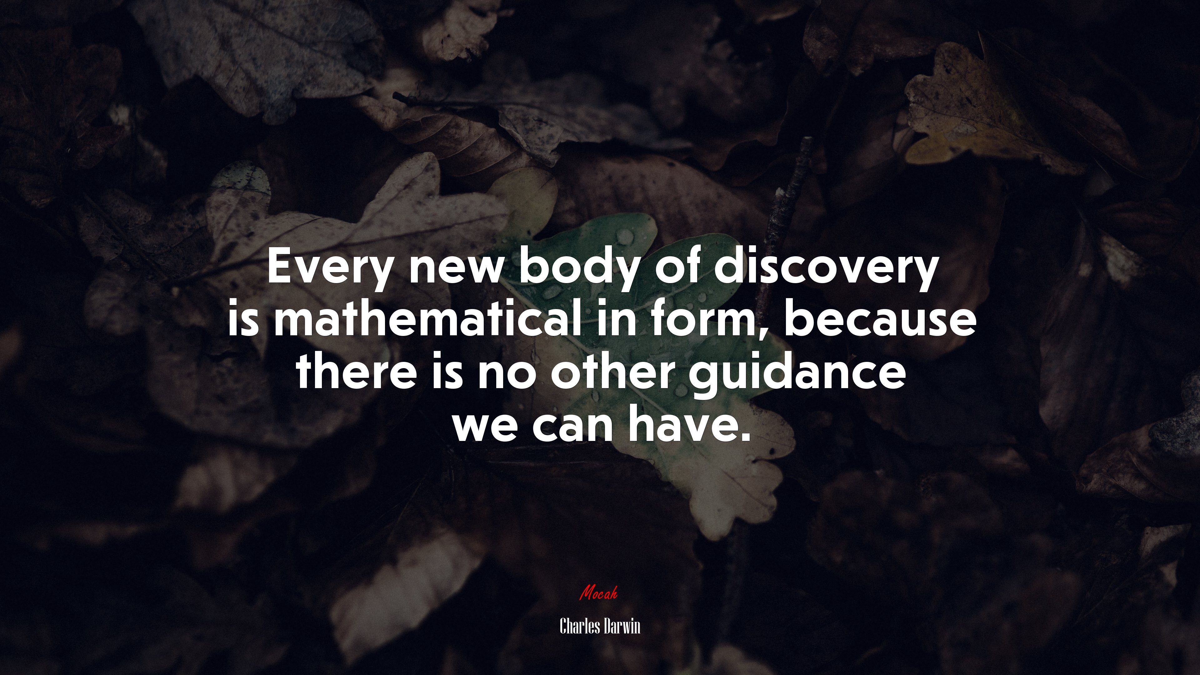 Every new body of discovery is mathematical in form, because there is no other guidance we can have. | Charles Darwin quote HD Wallpaper