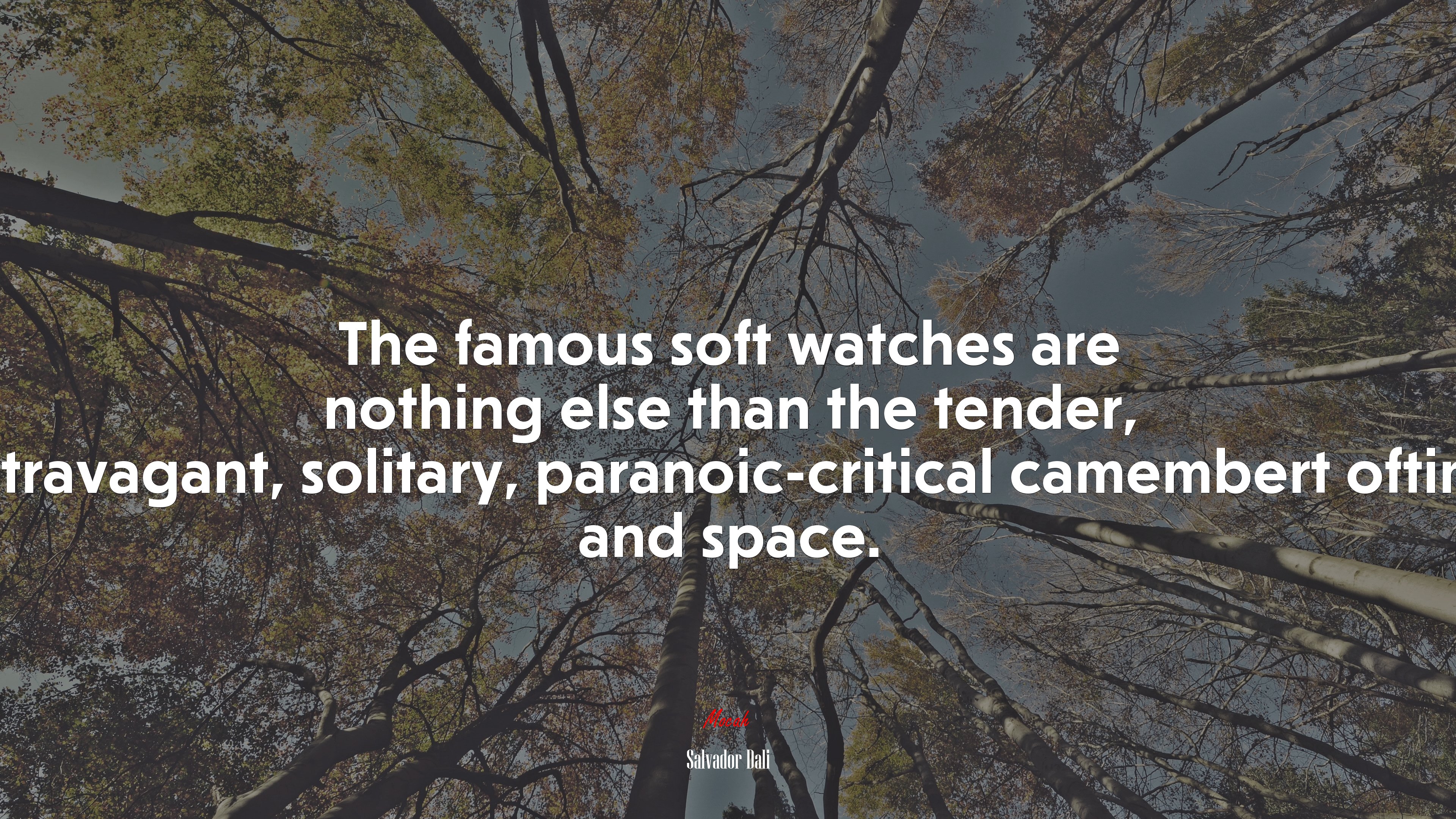The famous soft watches are nothing else than the tender, extravagant, solitary, paranoic-critical camembert oftime and space. | Salvador Dalí quote HD Wallpaper