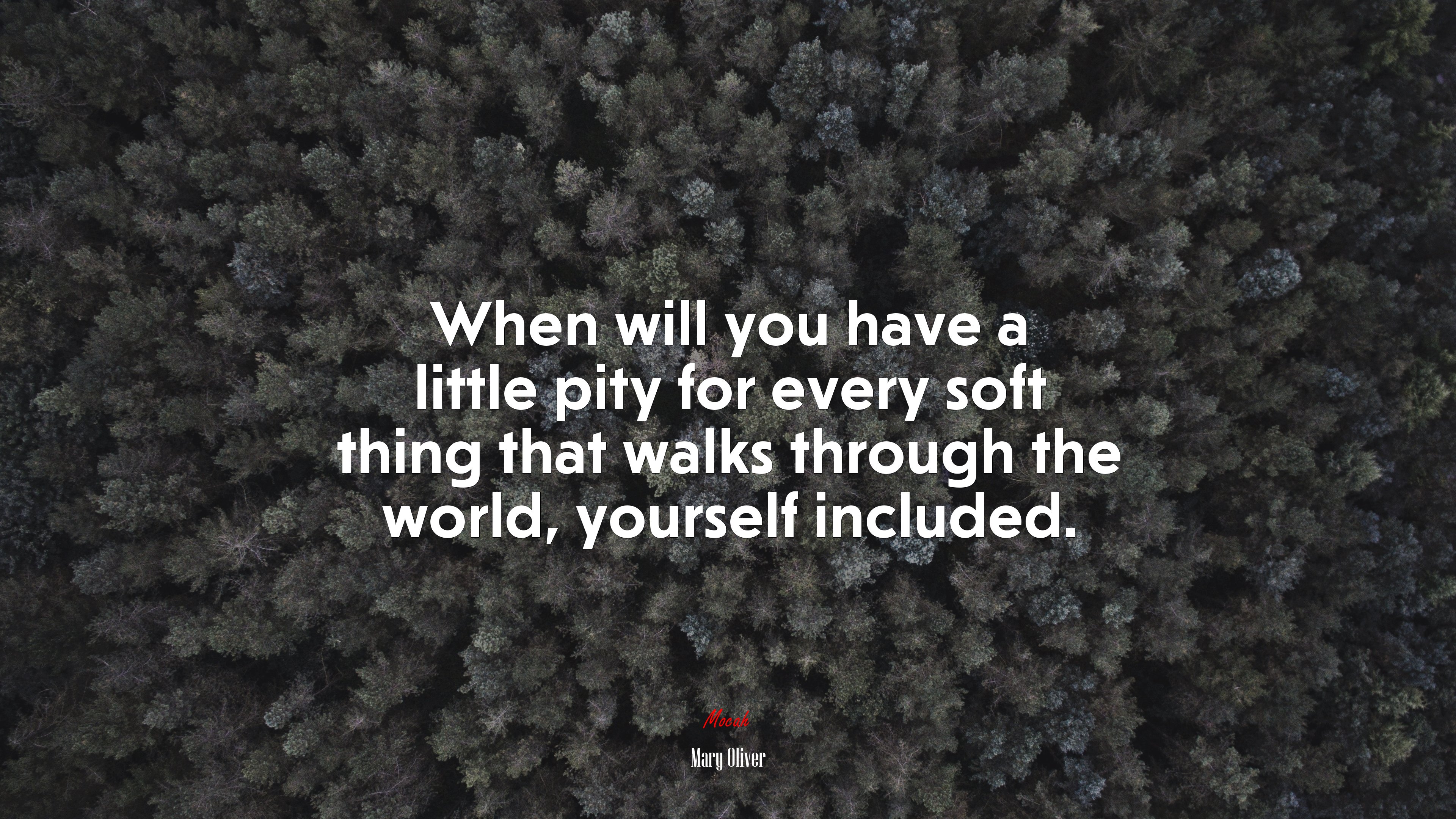 When will you have a little pity for every soft thing that walks through the world, yourself included. | Mary Oliver quote HD Wallpaper
