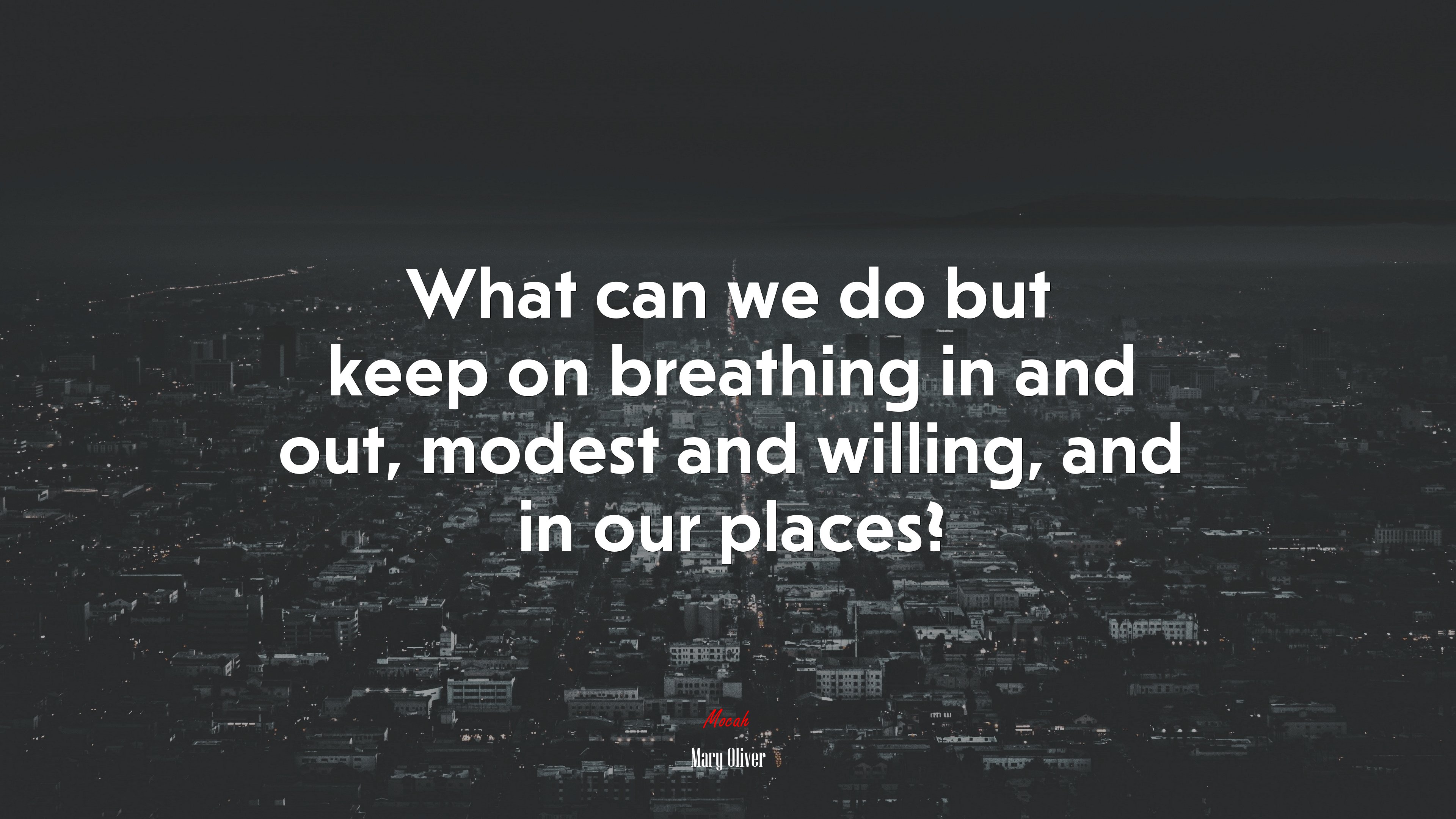 What can we do but keep on breathing in and out, modest and willing, and in our places? | Mary Oliver quote HD Wallpaper