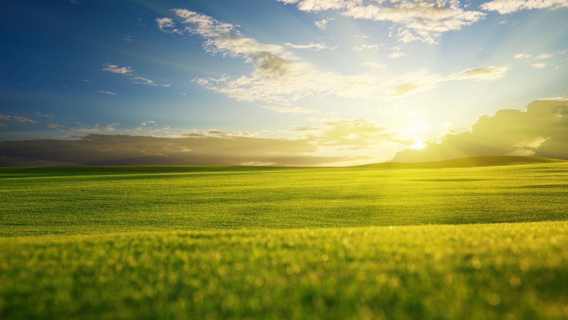Green rolling hills under a bright sky with sun rays HD Wallpaper