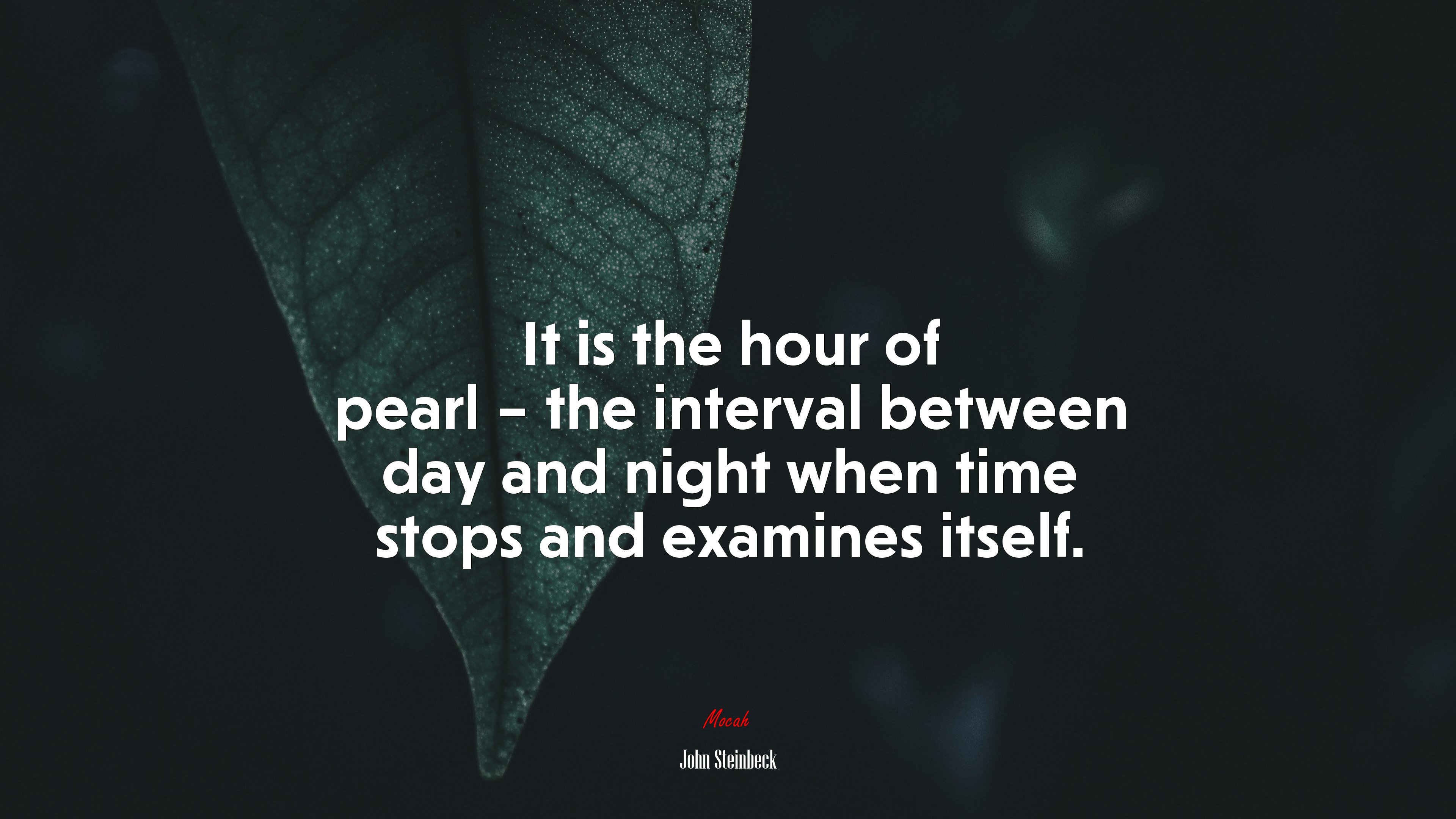 It is the hour of pearl – the interval between day and night when time stops and examines itself. | John Steinbeck quote HD Wallpaper