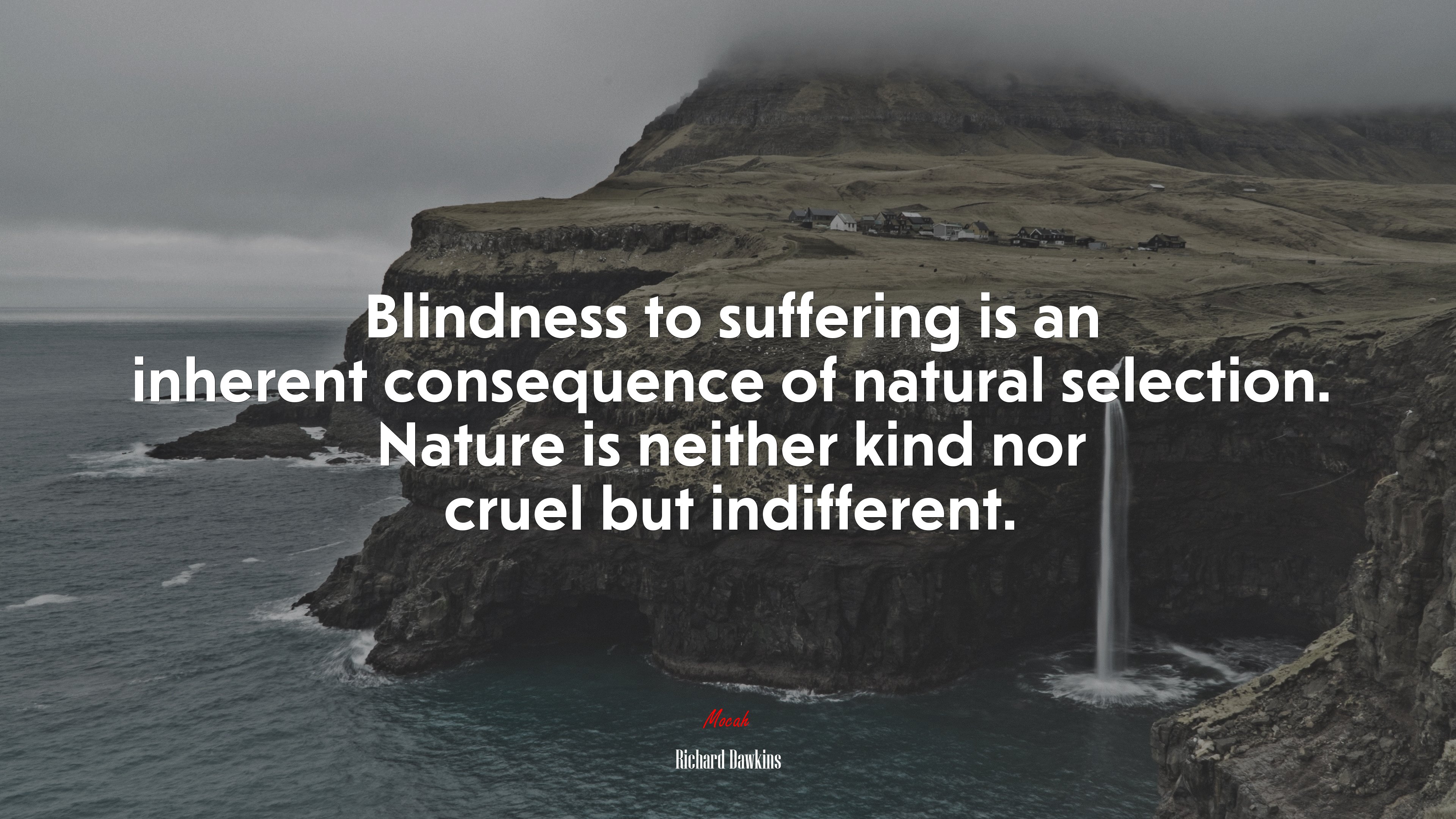Blindness to suffering is an inherent consequence of natural selection. Nature is neither kind nor cruel but indifferent. | Richard Dawkins quote HD Wallpaper