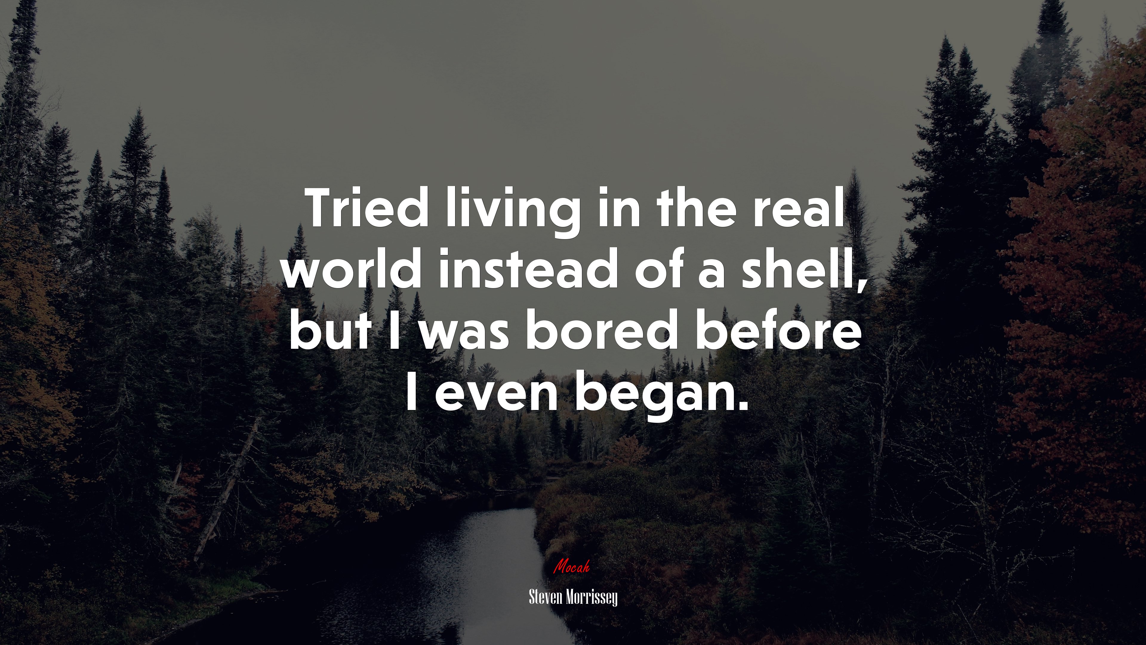 Tried living in the real world instead of a shell, but I was bored before I even began. | Steven Morrissey quote HD Wallpaper