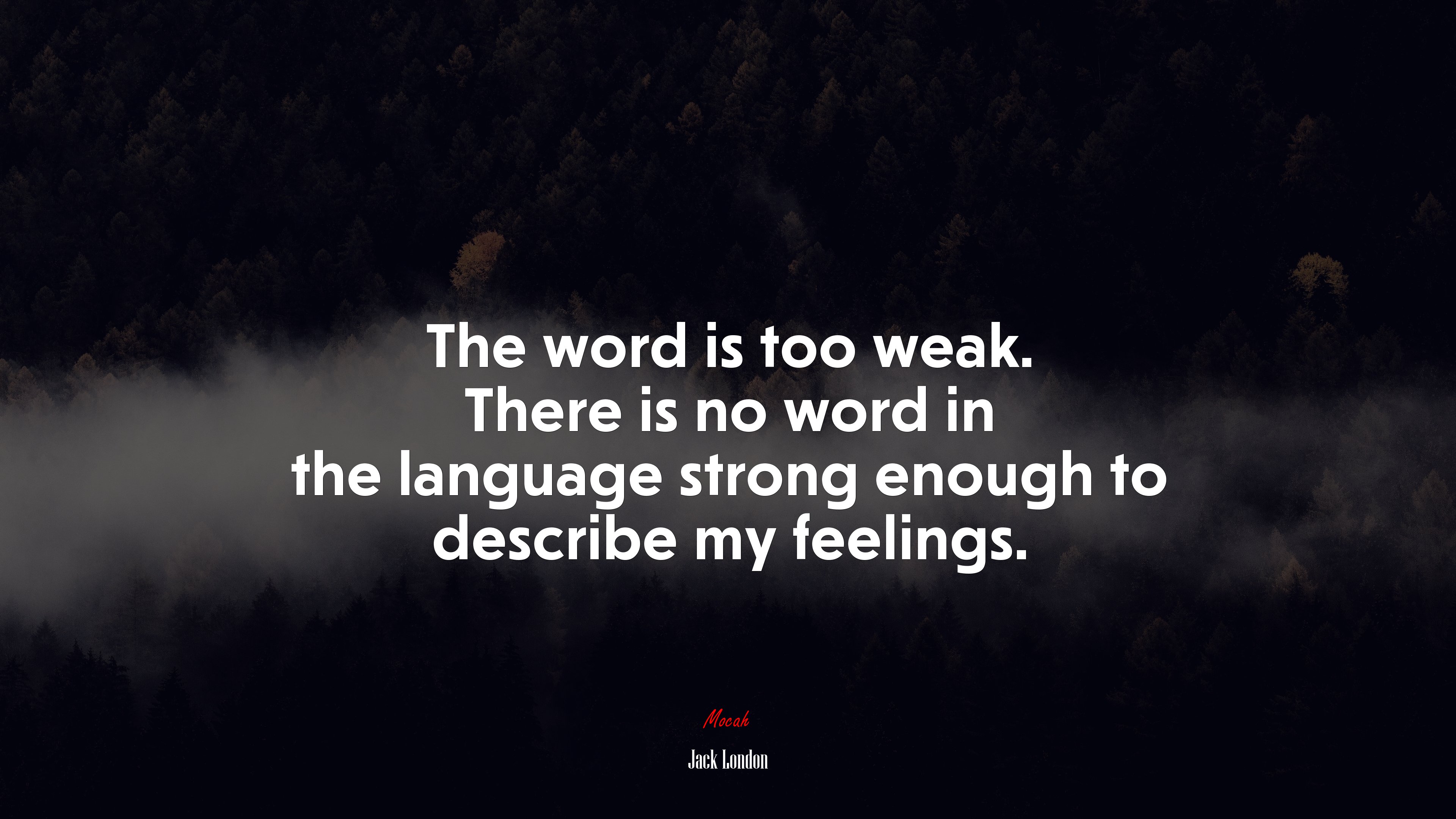 The word is too weak. There is no word in the language strong enough to describe my feelings. | Jack London quote HD Wallpaper