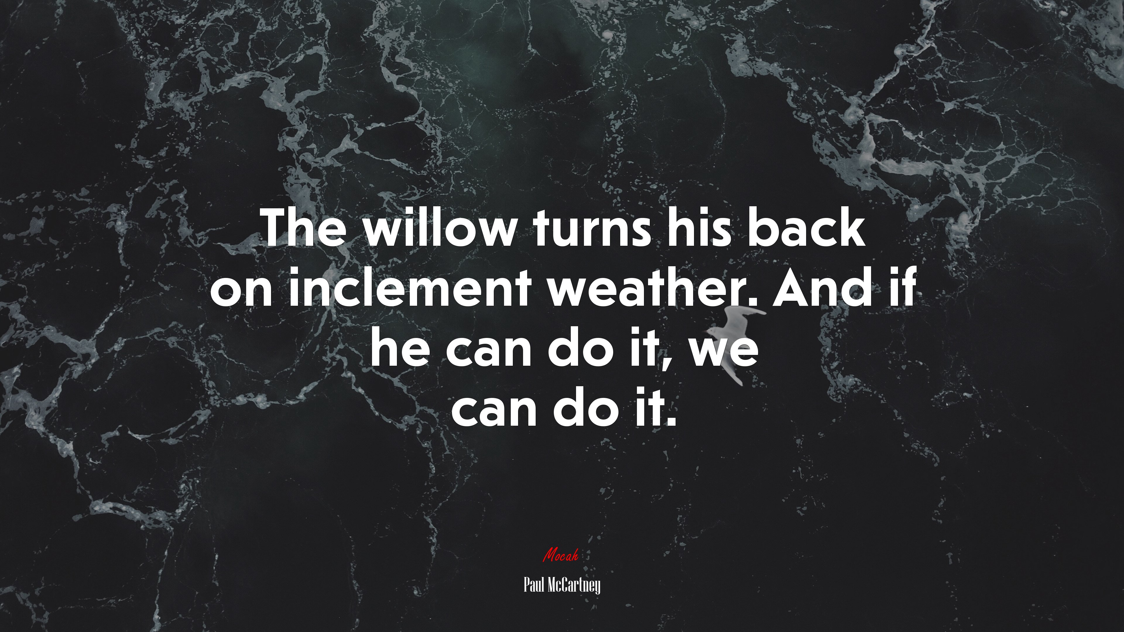 The willow turns his back on inclement weather. And if he can do it, we can do it. | Paul McCartney quote HD Wallpaper