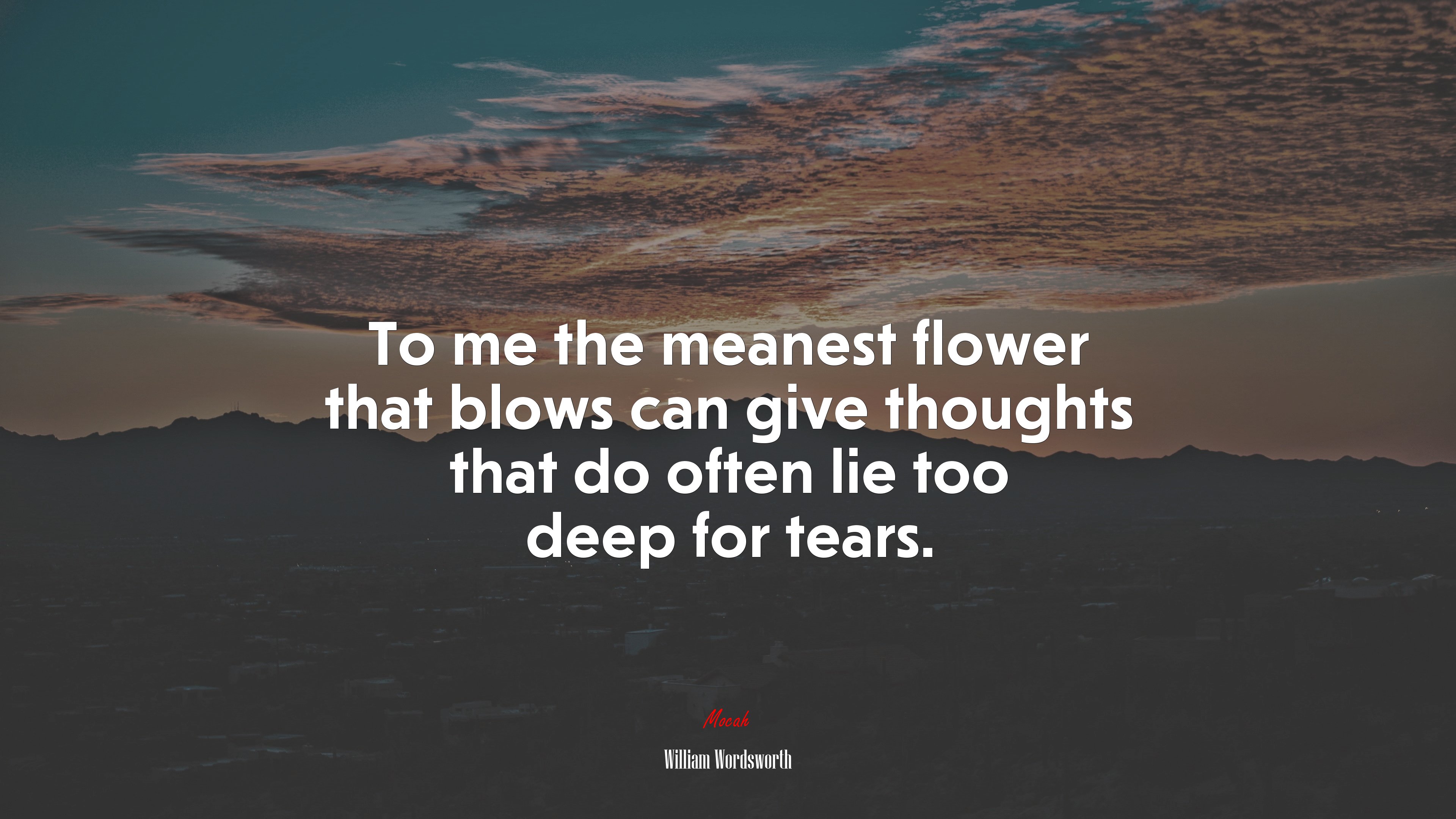 To me the meanest flower that blows can give thoughts that do often lie too deep for tears. | William Wordsworth quote HD Wallpaper