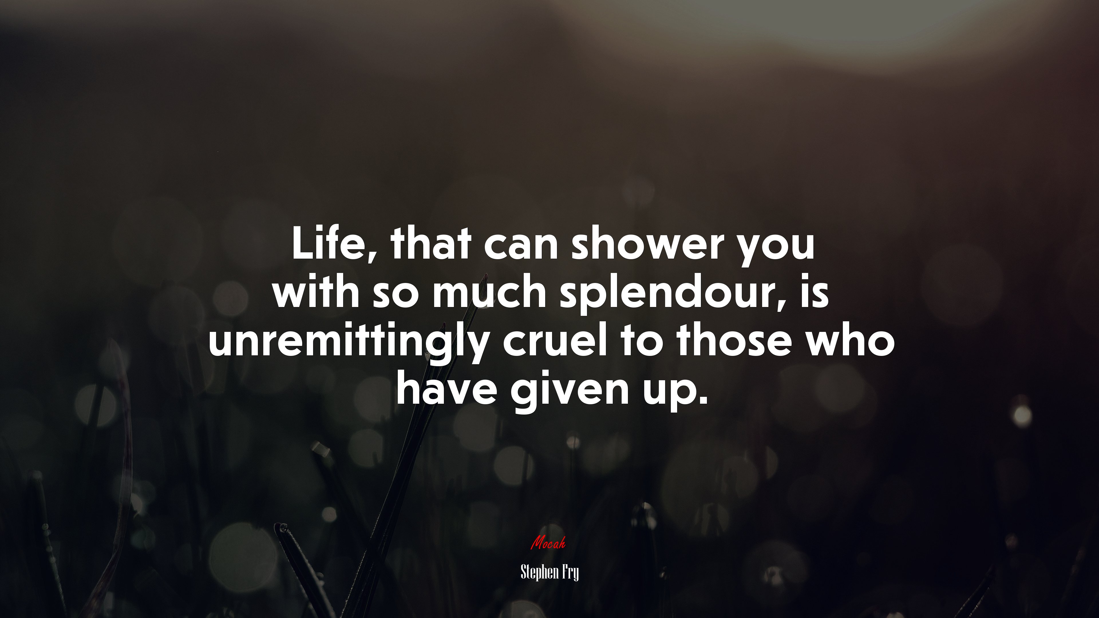 Life, that can shower you with so much splendour, is unremittingly cruel to those who have given up. | Stephen Fry quote HD Wallpaper