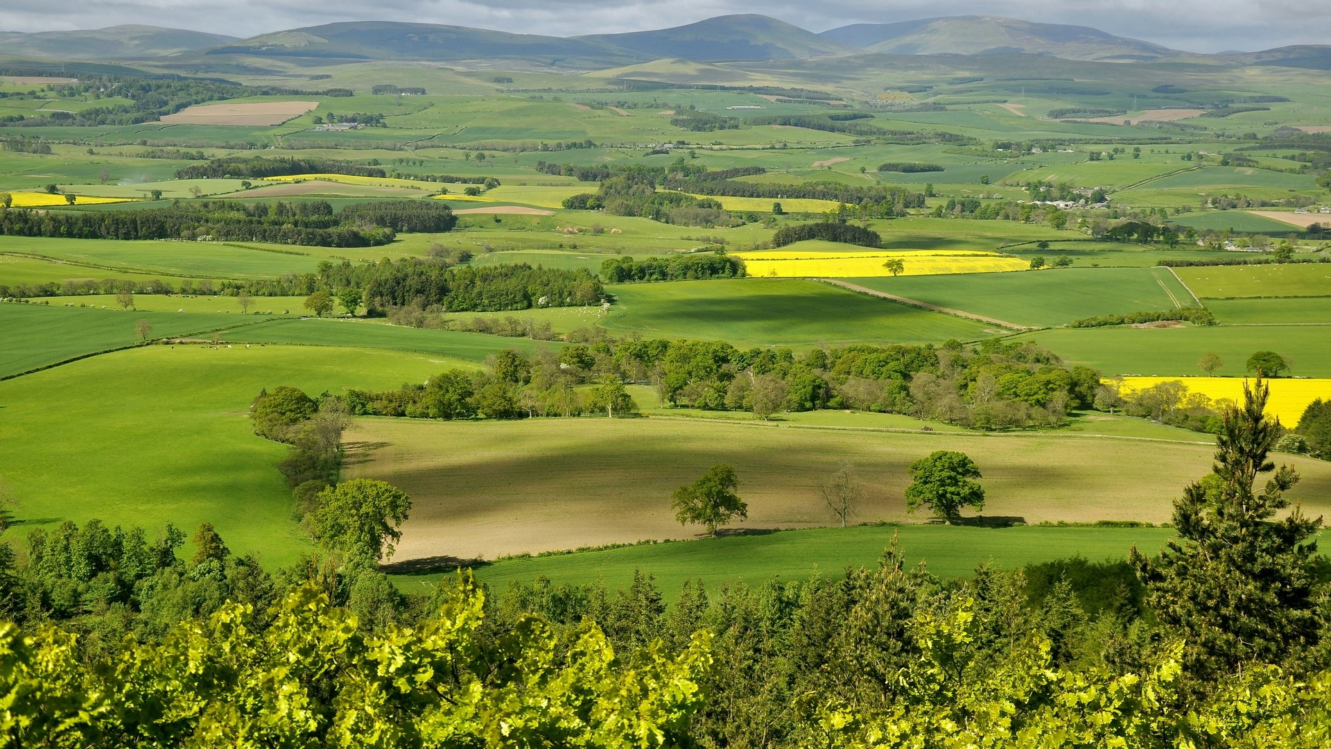 Rolling green hills and fields under a cloudy sky HD Wallpaper