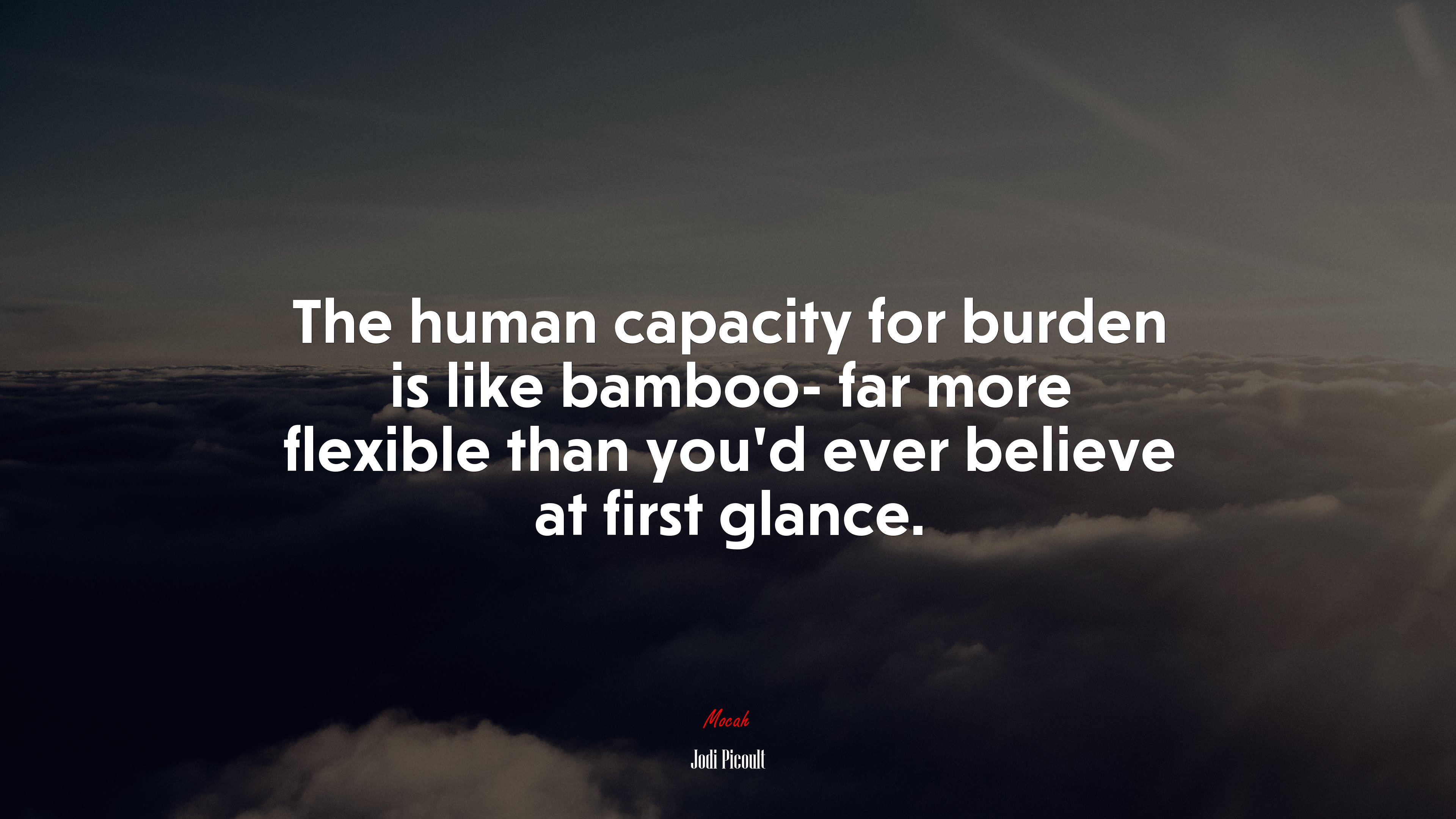 The human capacity for burden is like bamboo- far more flexible than you’d ever believe at first glance. | Jodi Picoult quote HD Wallpaper