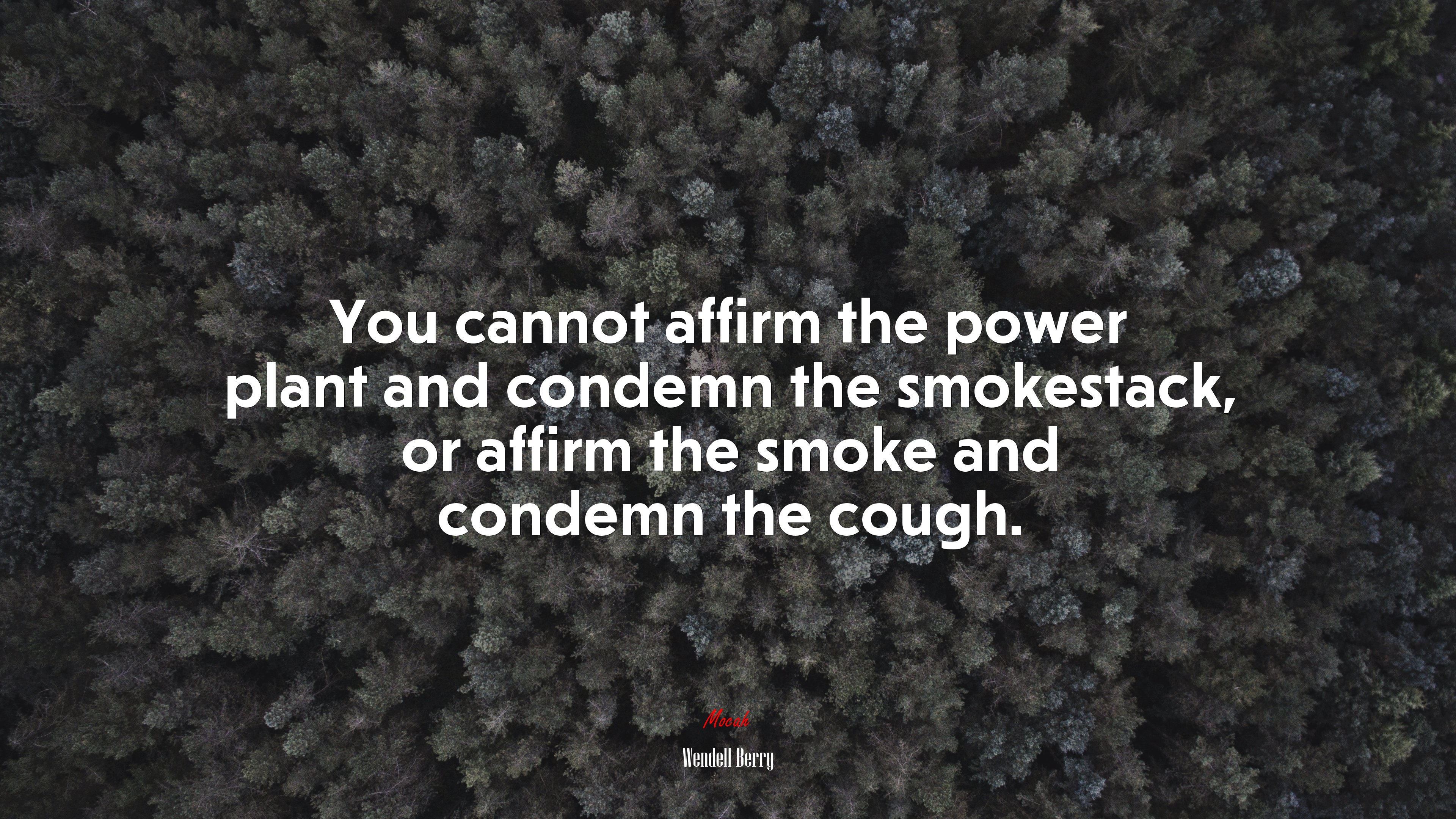 You cannot affirm the power plant and condemn the smokestack, or affirm the smoke and condemn the cough. | Wendell Berry quote HD Wallpaper