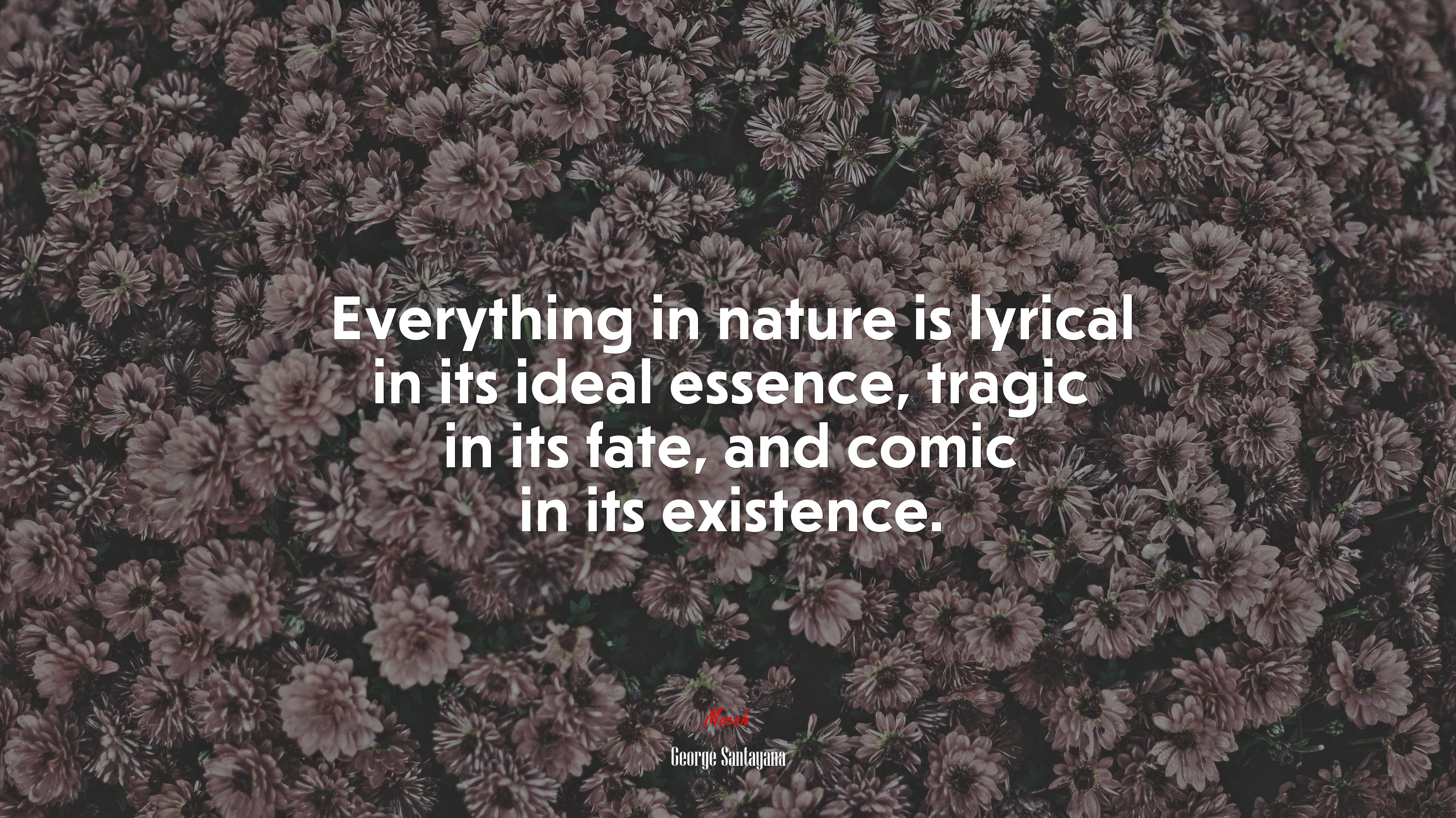 Everything in nature is lyrical in its ideal essence, tragic in its fate, and comic in its existence. | George Santayana quote HD Wallpaper