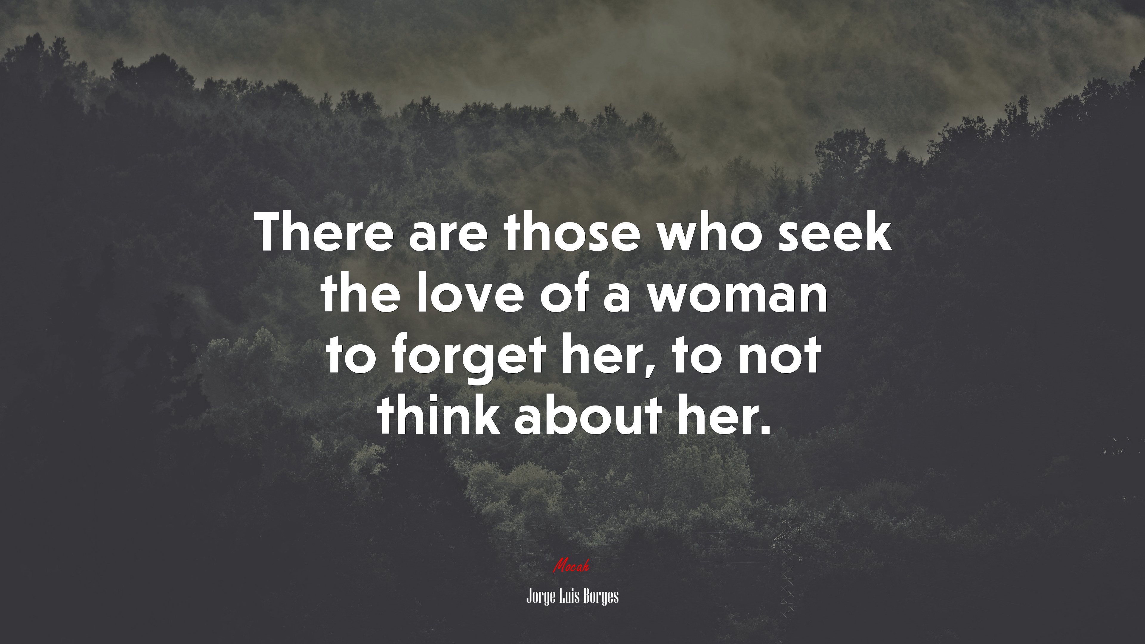 There are those who seek the love of a woman to forget her, to not think about her. | Jorge Luis Borges quote HD Wallpaper