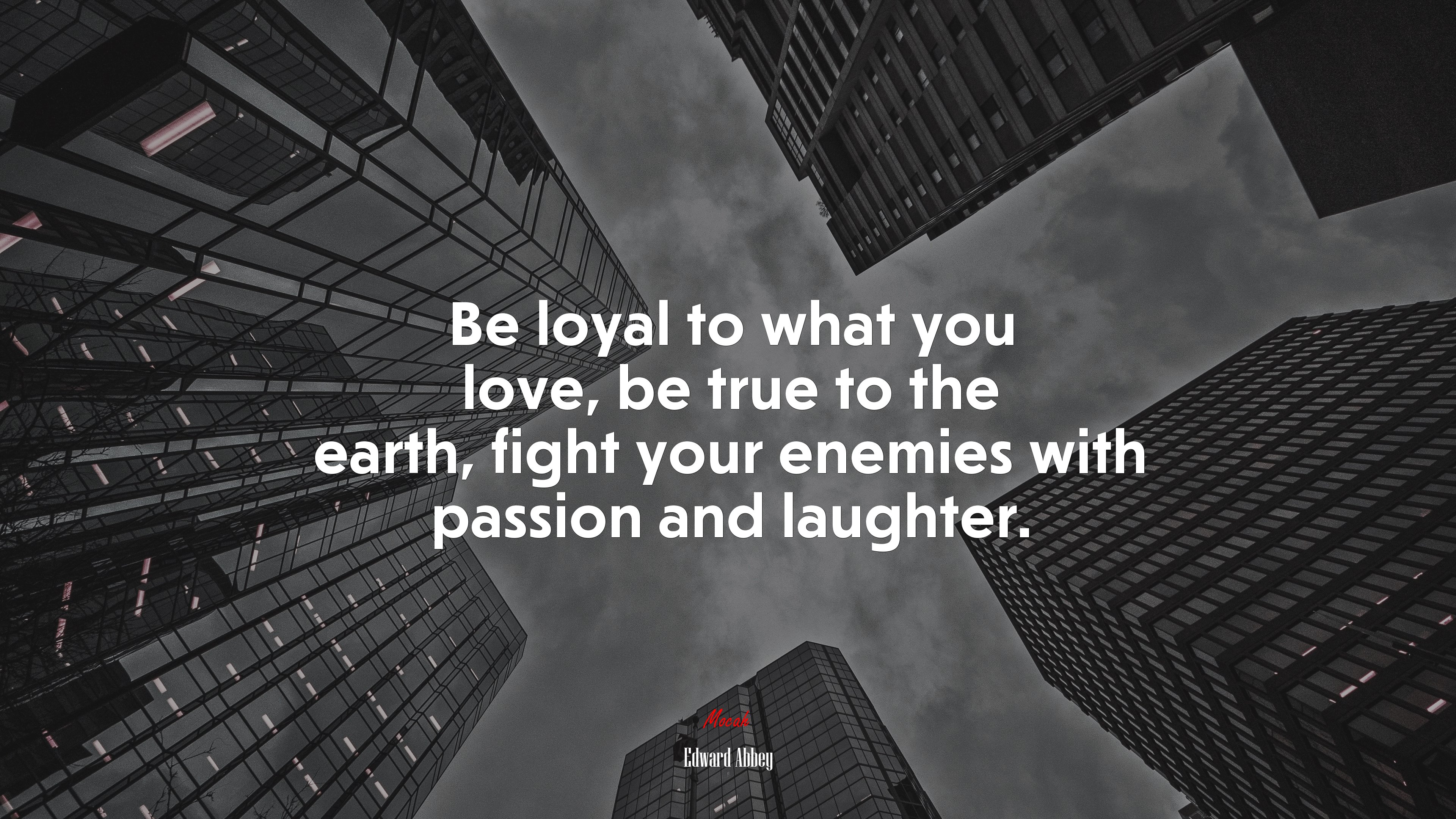 Be loyal to what you love, be true to the earth, fight your enemies with passion and laughter. | Edward Abbey quote HD Wallpaper