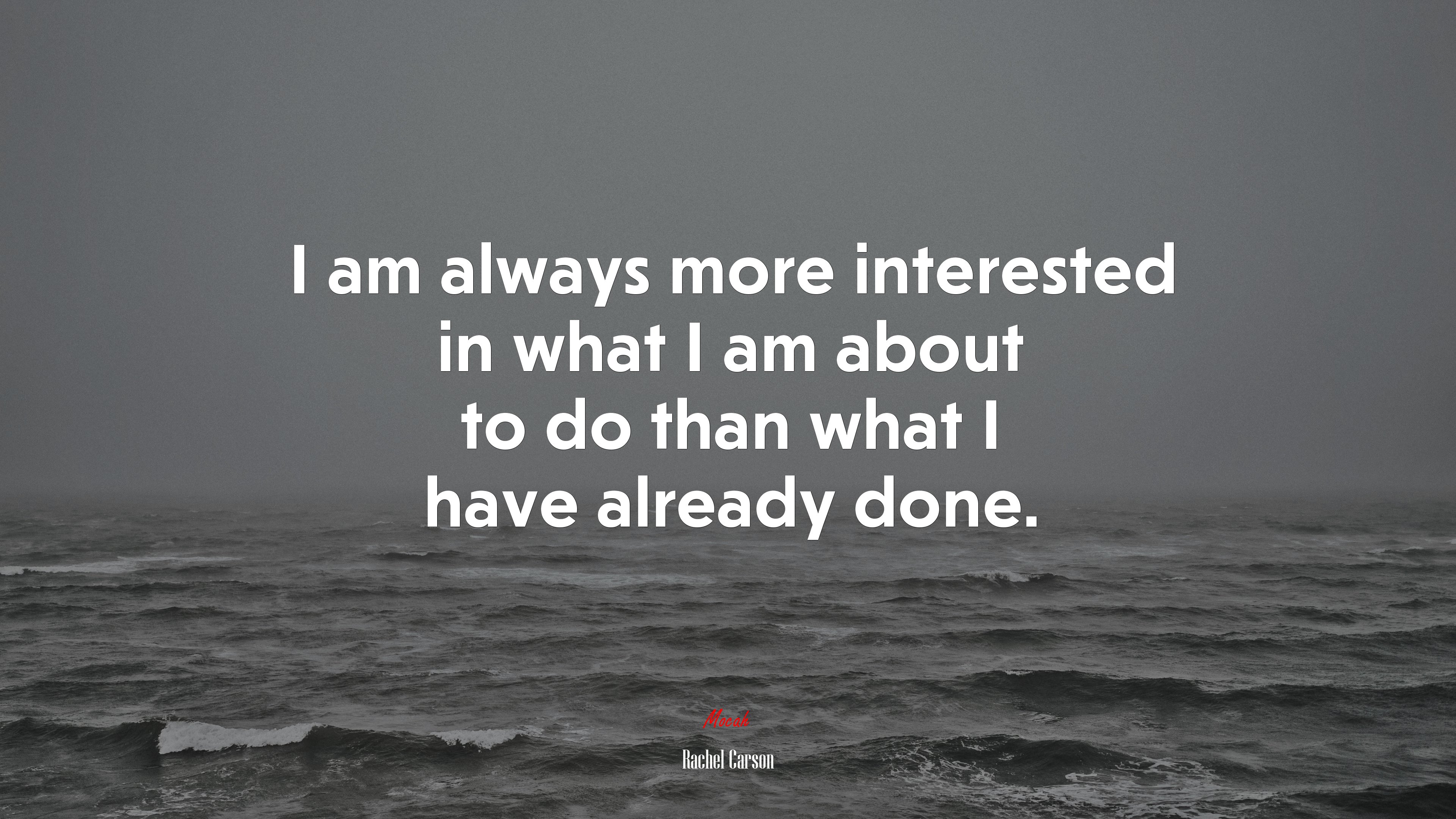 I am always more interested in what I am about to do than what I have already done. | Rachel Carson quote HD Wallpaper