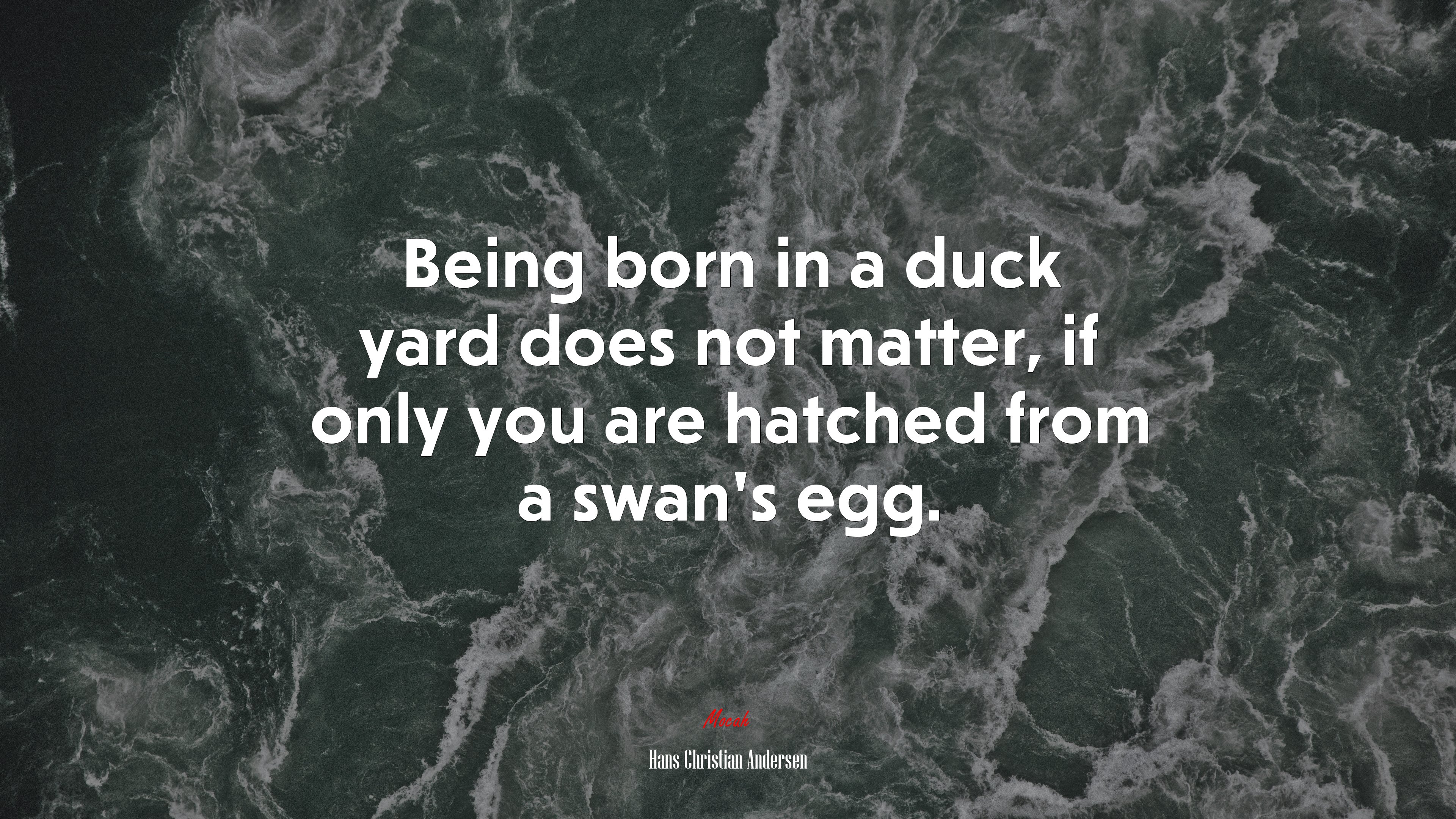 Being born in a duck yard does not matter, if only you are hatched from a swan’s egg. | Hans Christian Andersen quote HD Wallpaper