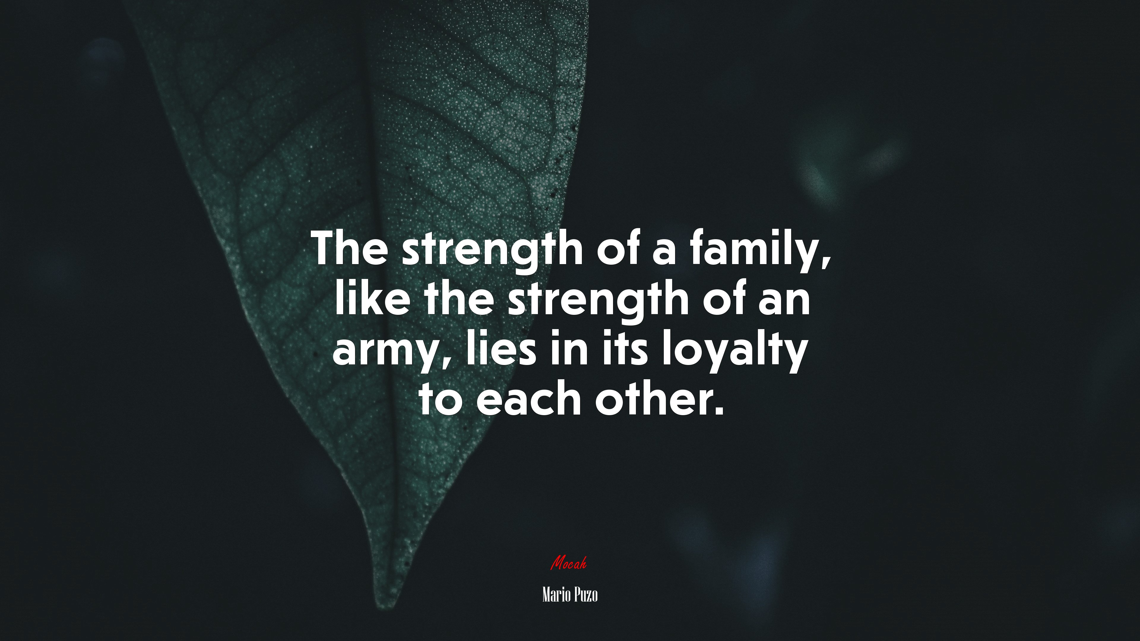 The strength of a family, like the strength of an army, lies in its loyalty to each other. | Mario Puzo quote HD Wallpaper