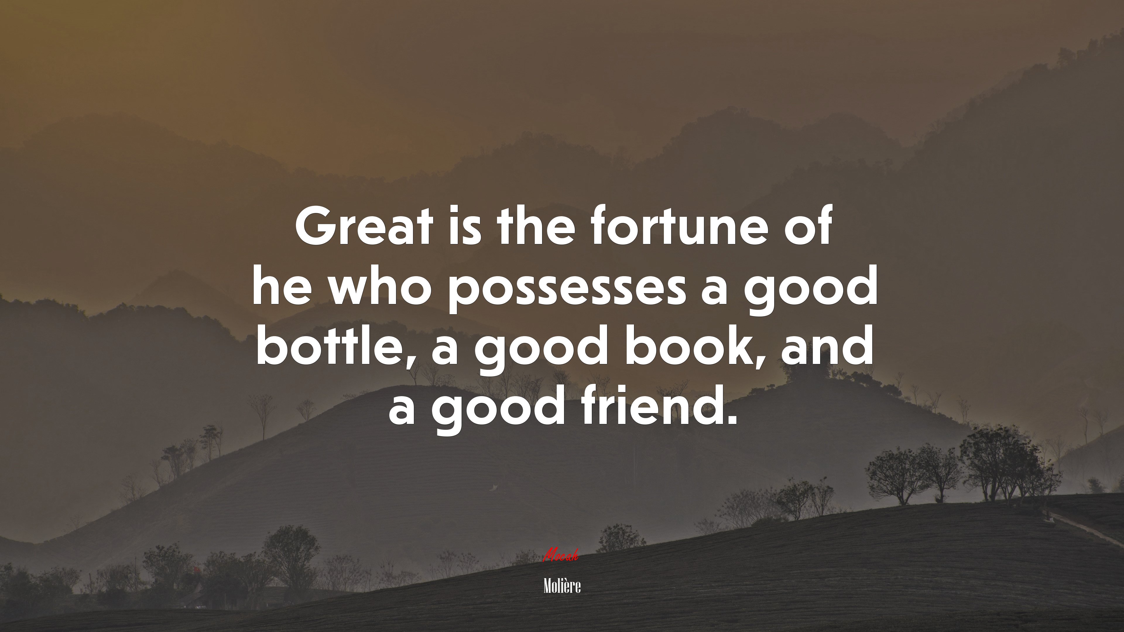 Great is the fortune of he who possesses a good bottle, a good book, and a good friend. | Molière quote HD Wallpaper