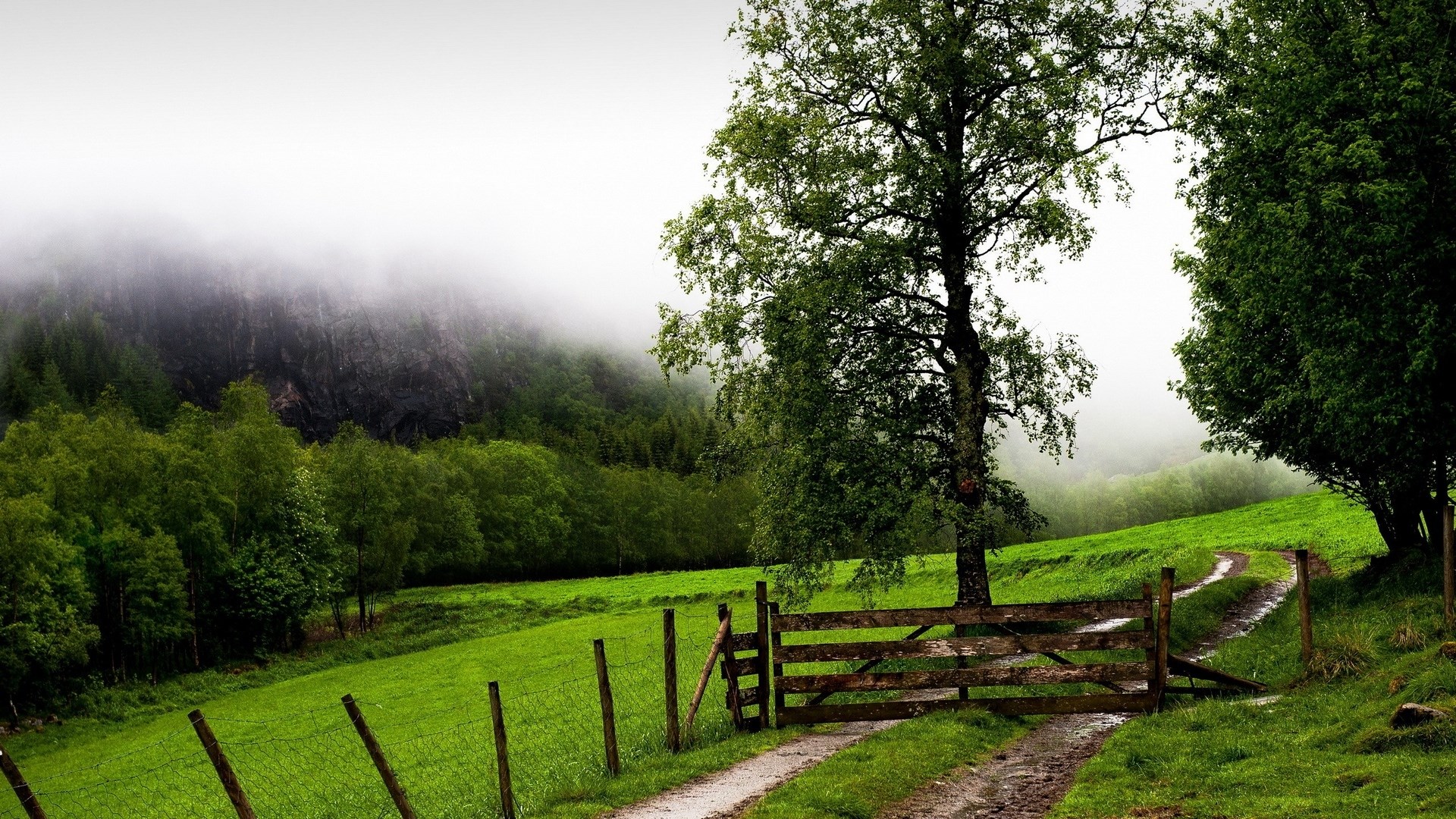 Misty Mountain Landscape with Gate and Trees HD Wallpaper