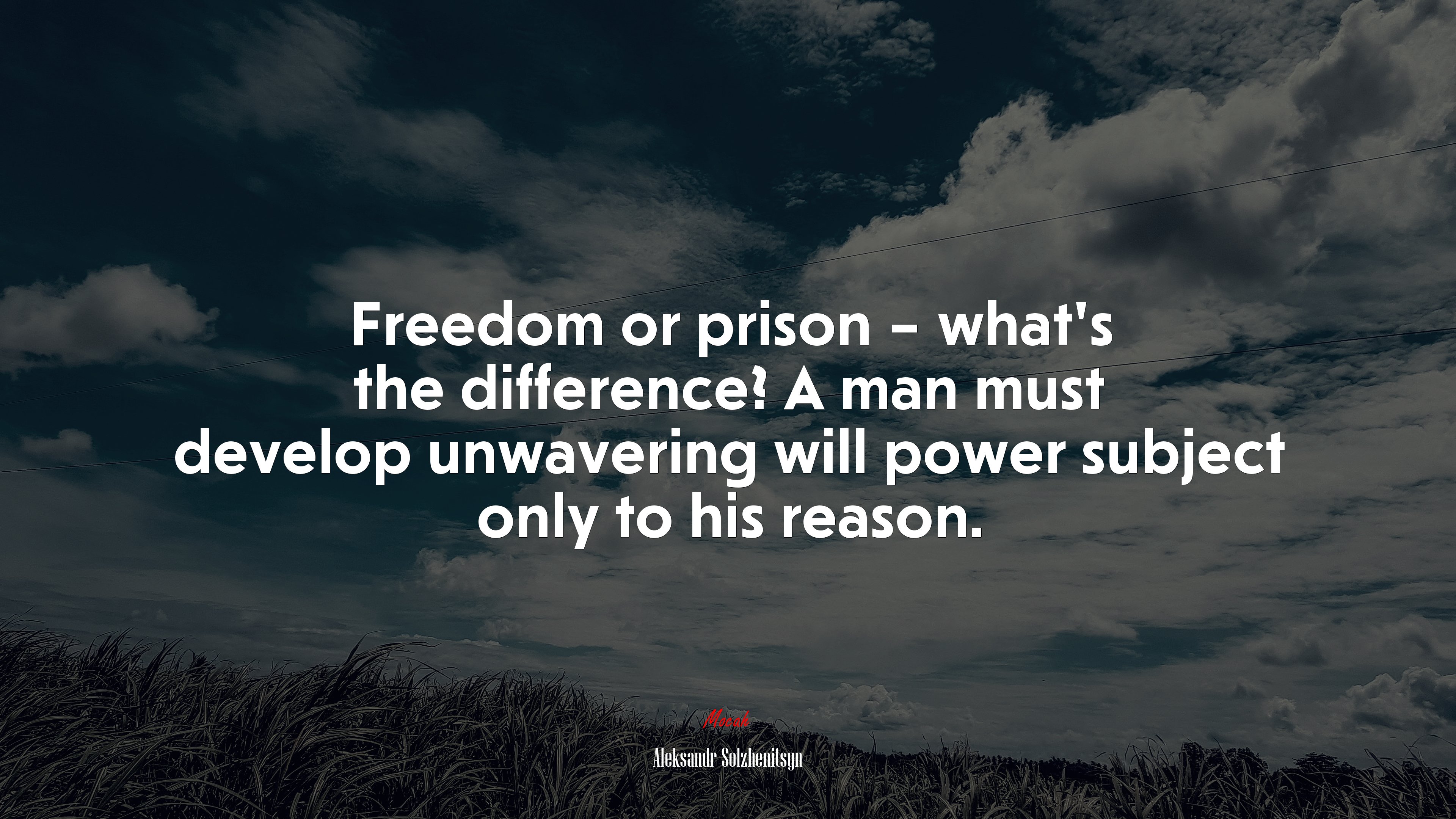 Freedom or prison – what’s the difference? A man must develop unwavering will power subject only to his reason. | Aleksandr Solzhenitsyn quote HD Wallpaper