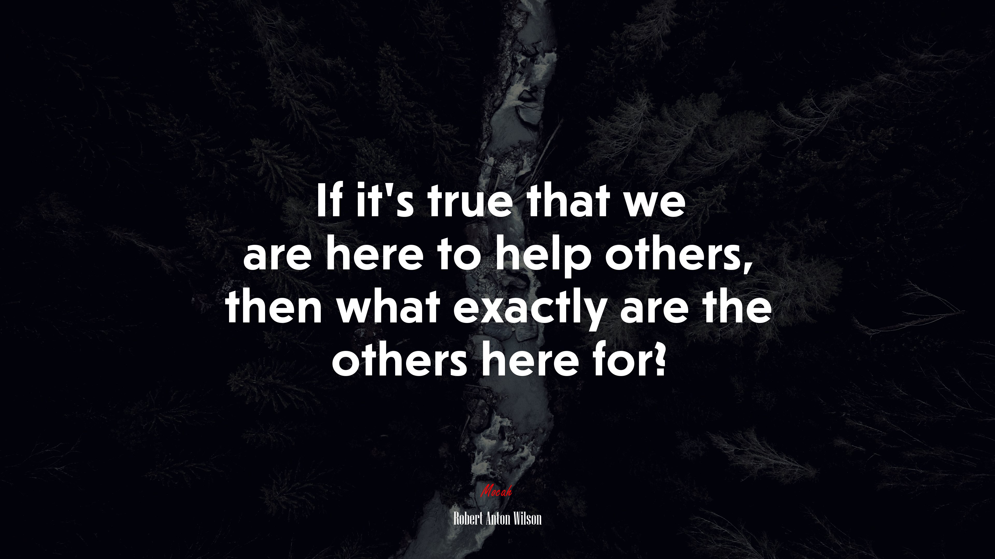 If it’s true that we are here to help others, then what exactly are the others here for? | Robert Anton Wilson quote HD Wallpaper