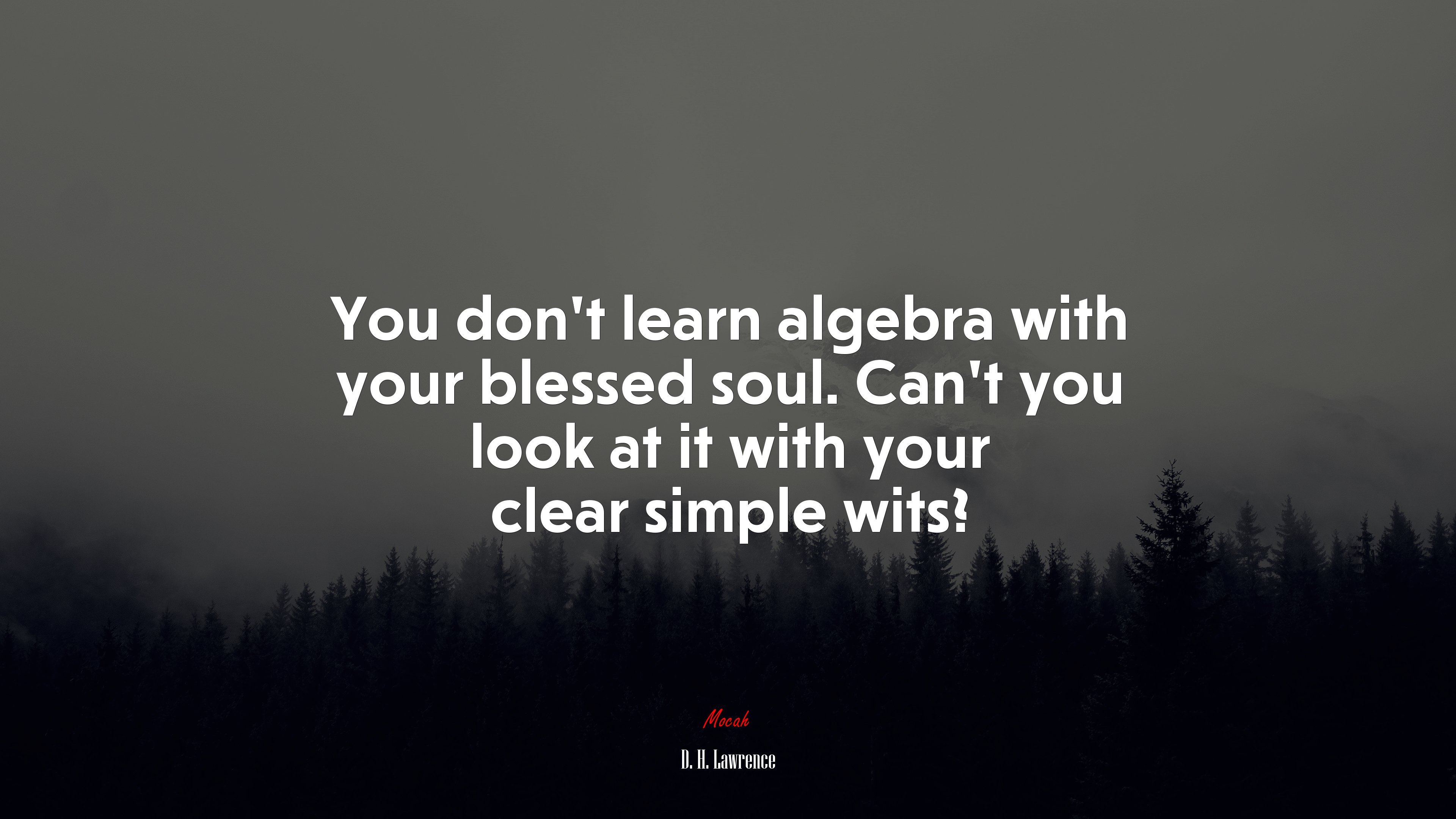 You don’t learn algebra with your blessed soul. Can’t you look at it with your clear simple wits? | D. H. Lawrence quote HD Wallpaper