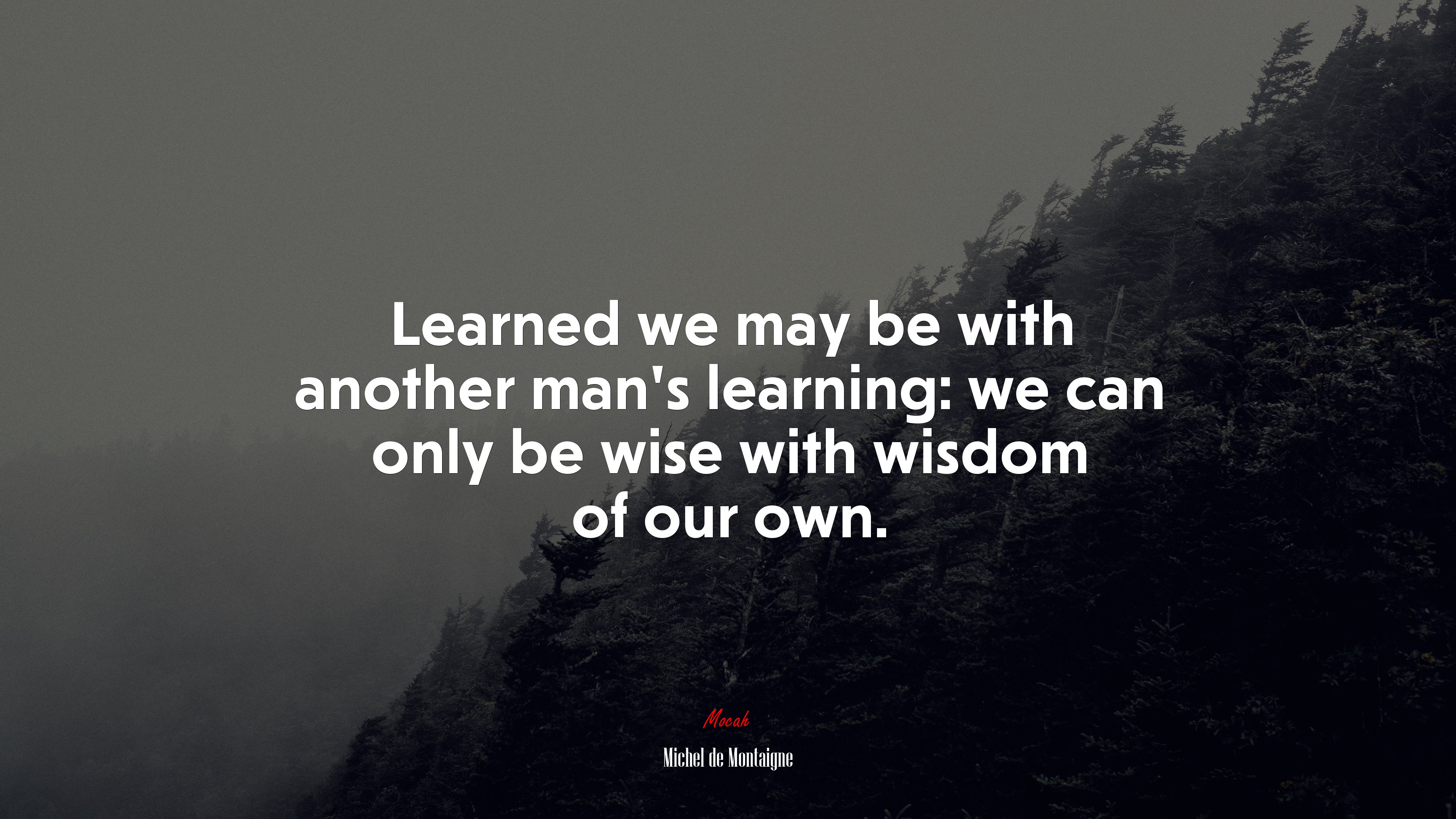 Learned we may be with another man’s learning: we can only be wise with wisdom of our own. | Michel de Montaigne quote HD Wallpaper