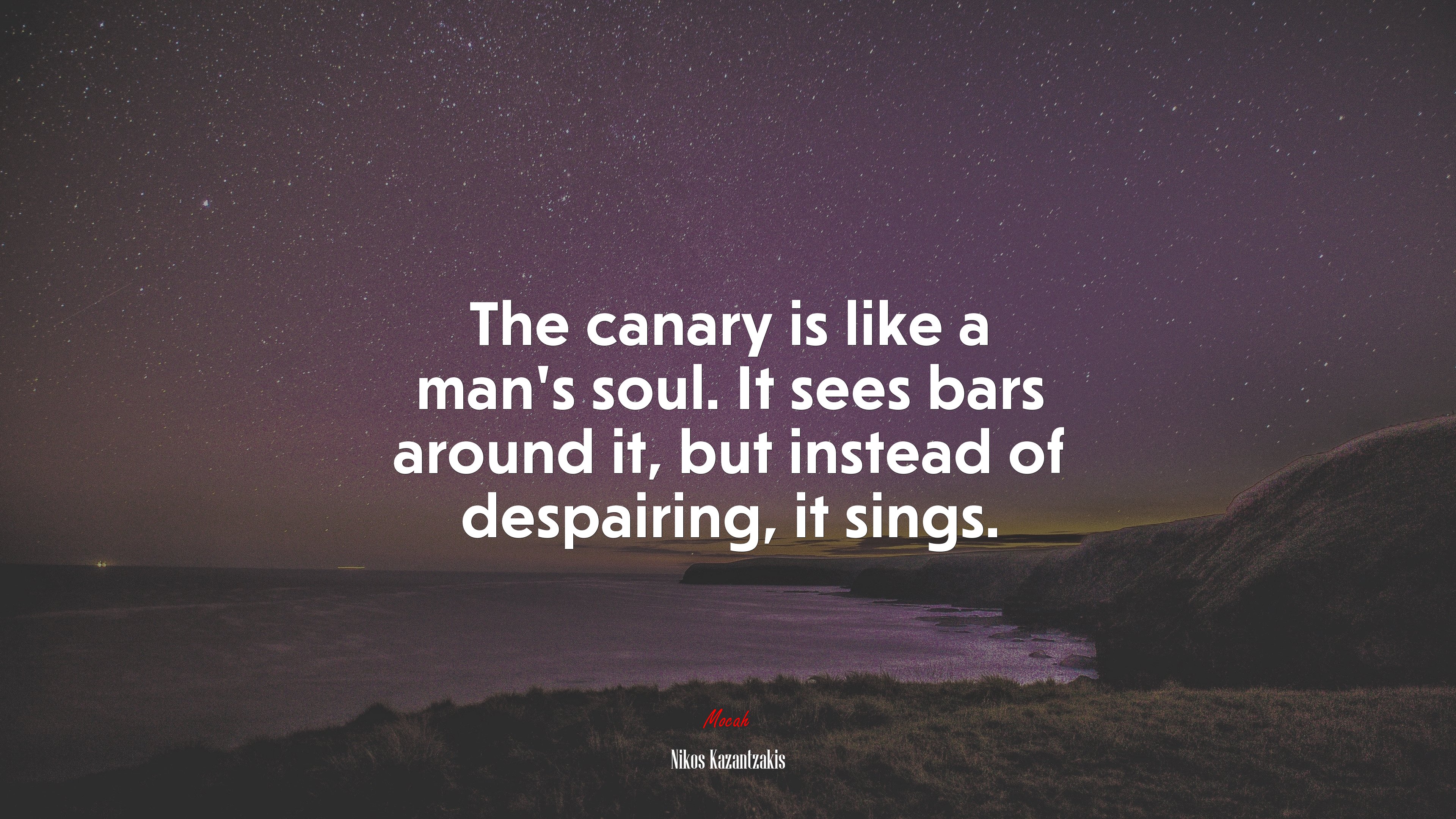 The canary is like a man’s soul. It sees bars around it, but instead of despairing, it sings. | Nikos Kazantzakis quote HD Wallpaper