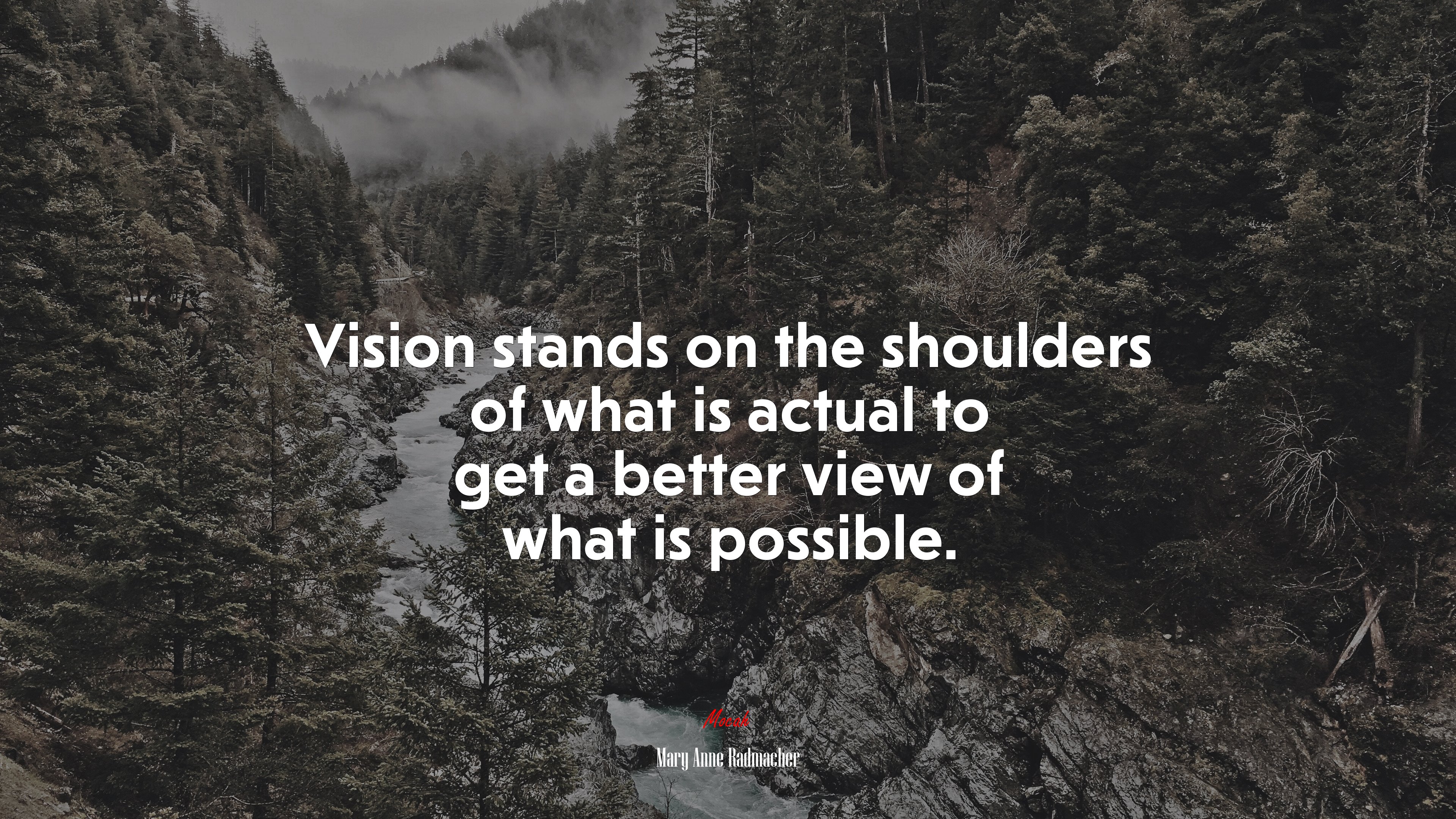 Vision stands on the shoulders of what is actual to get a better view of what is possible. | Mary Anne Radmacher quote HD Wallpaper