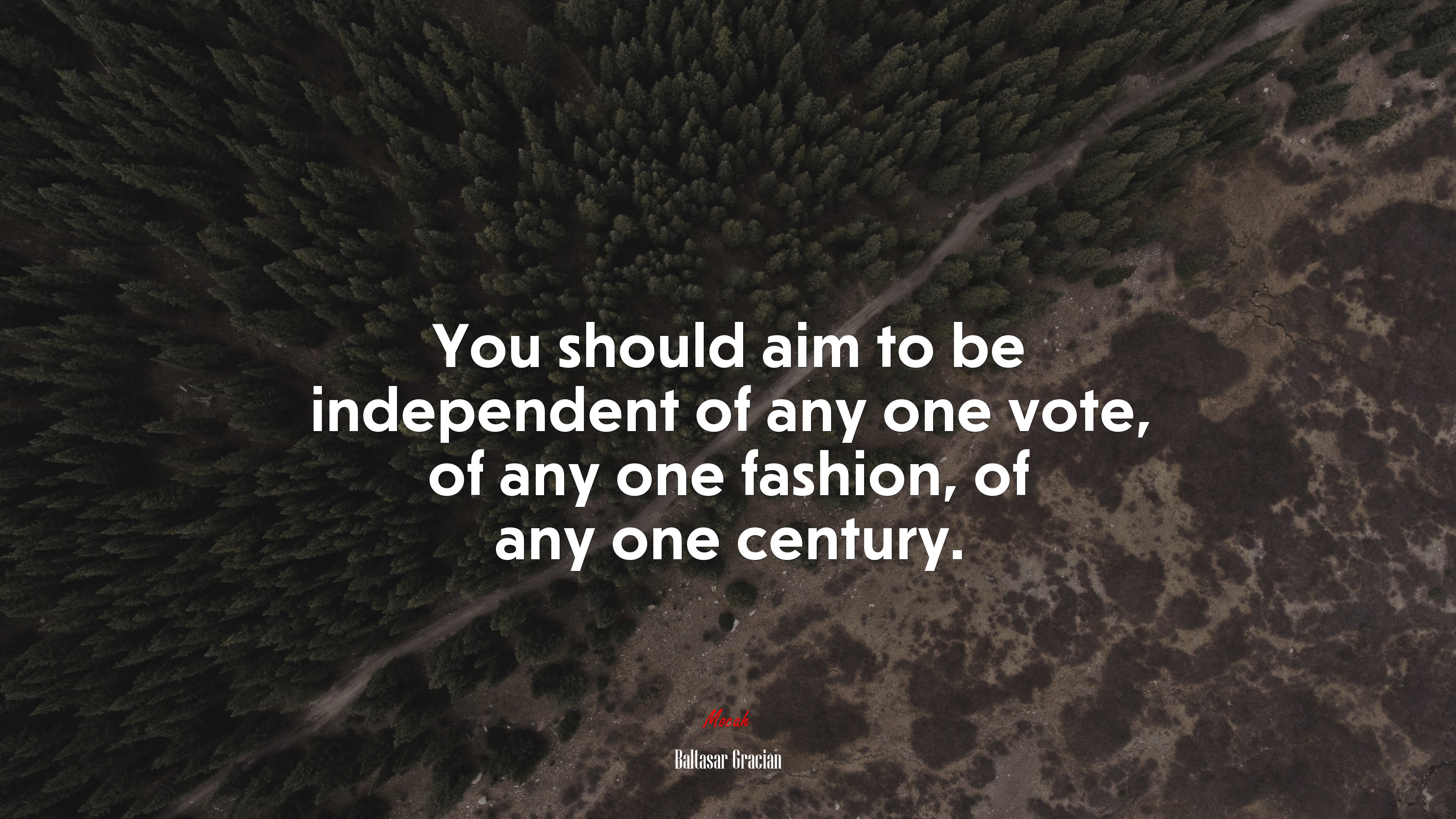 You should aim to be independent of any one vote, of any one fashion, of any one century. | Baltasar Gracián quote HD Wallpaper