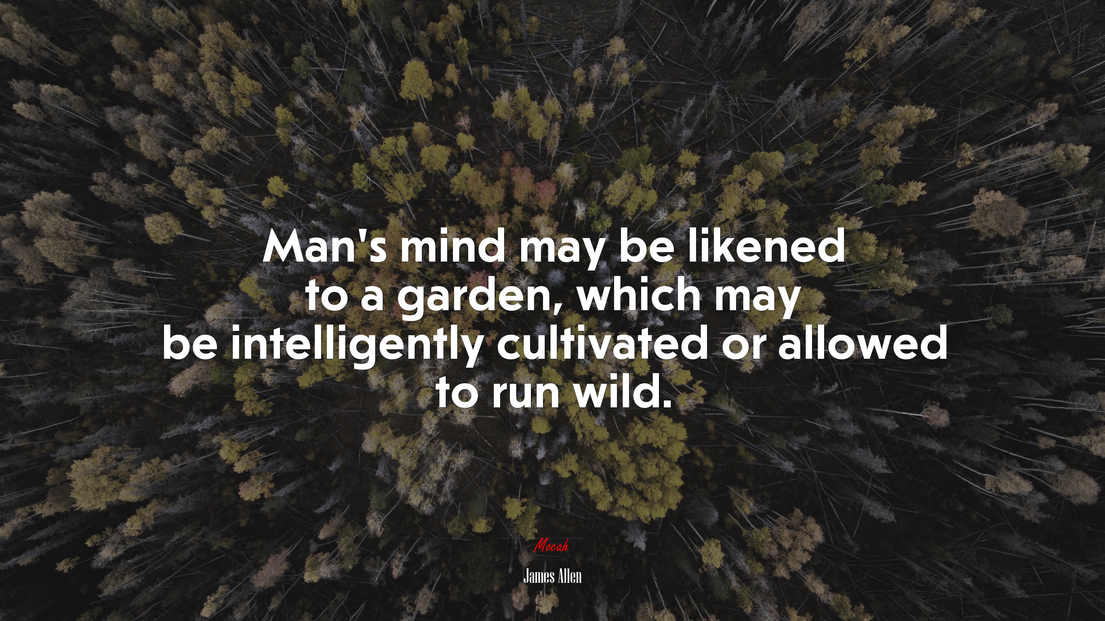 Man’s mind may be likened to a garden, which may be intelligently cultivated or allowed to run wild. | James Allen quote HD Wallpaper