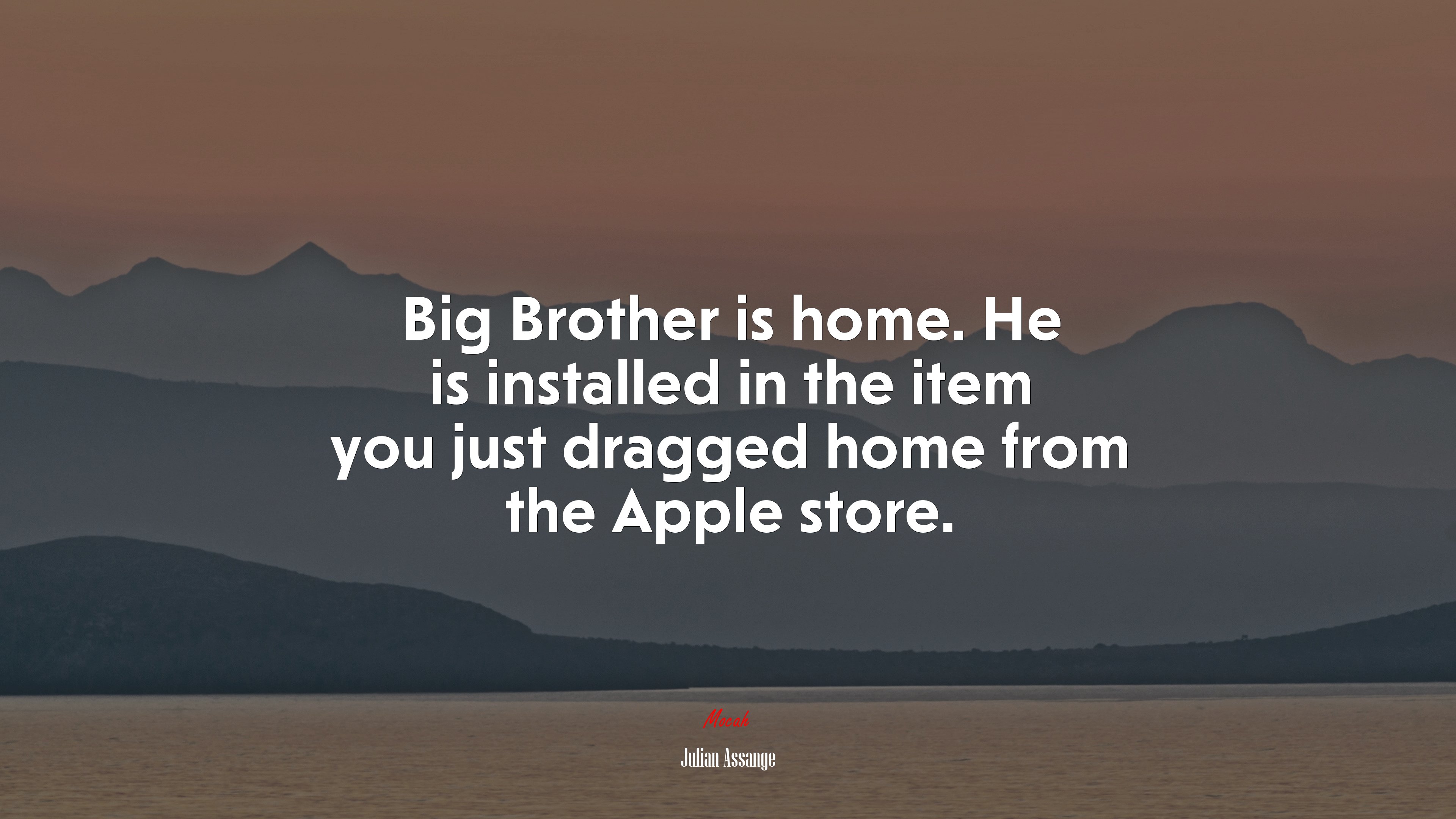 Big Brother is home. He is installed in the item you just dragged home from the Apple store. | Julian Assange quote HD Wallpaper