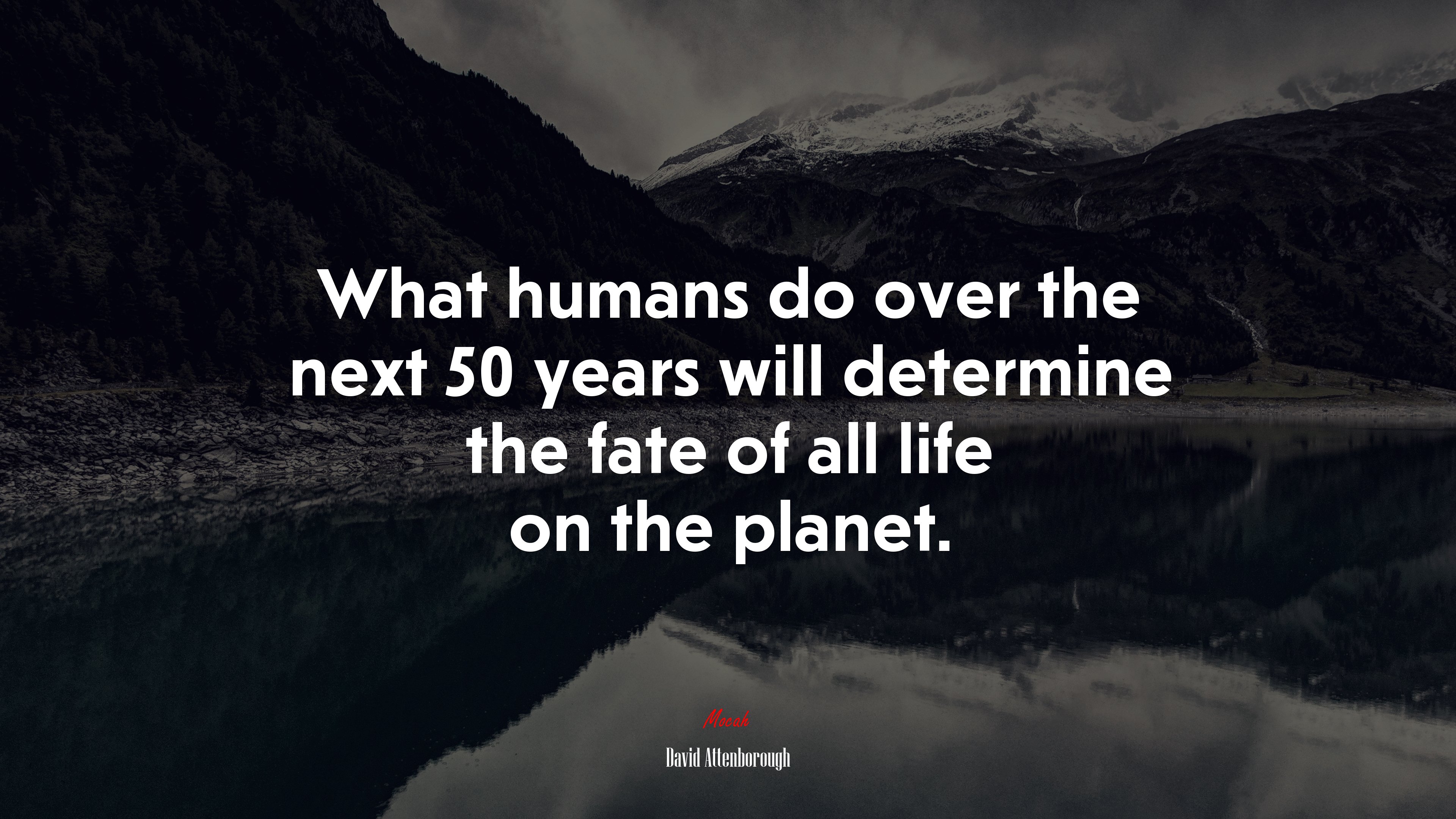 What humans do over the next 50 years will determine the fate of all life on the planet. | David Attenborough quote HD Wallpaper