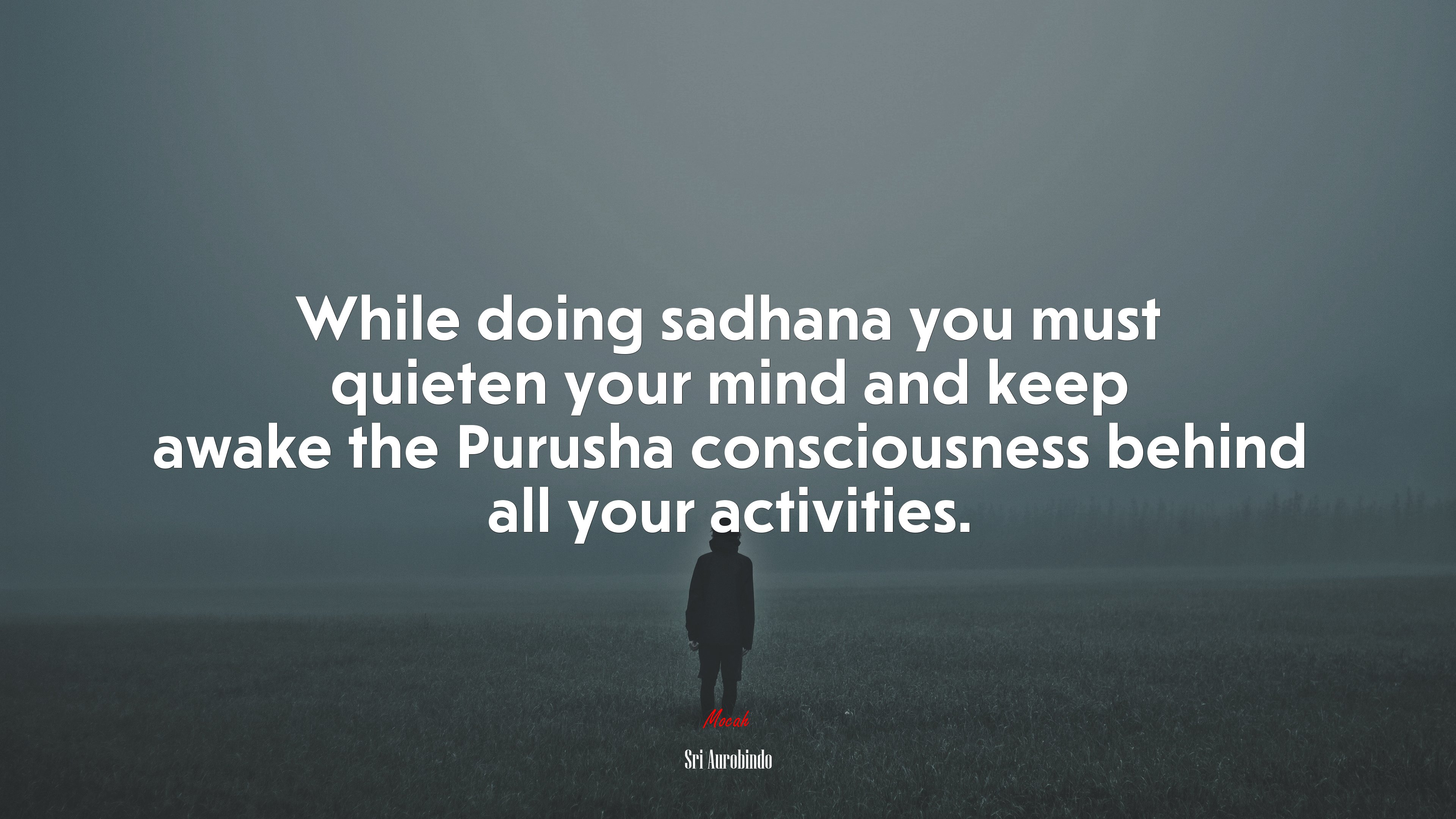 While doing sadhana you must quieten your mind and keep awake the Purusha consciousness behind all your activities. | Sri Aurobindo quote HD Wallpaper