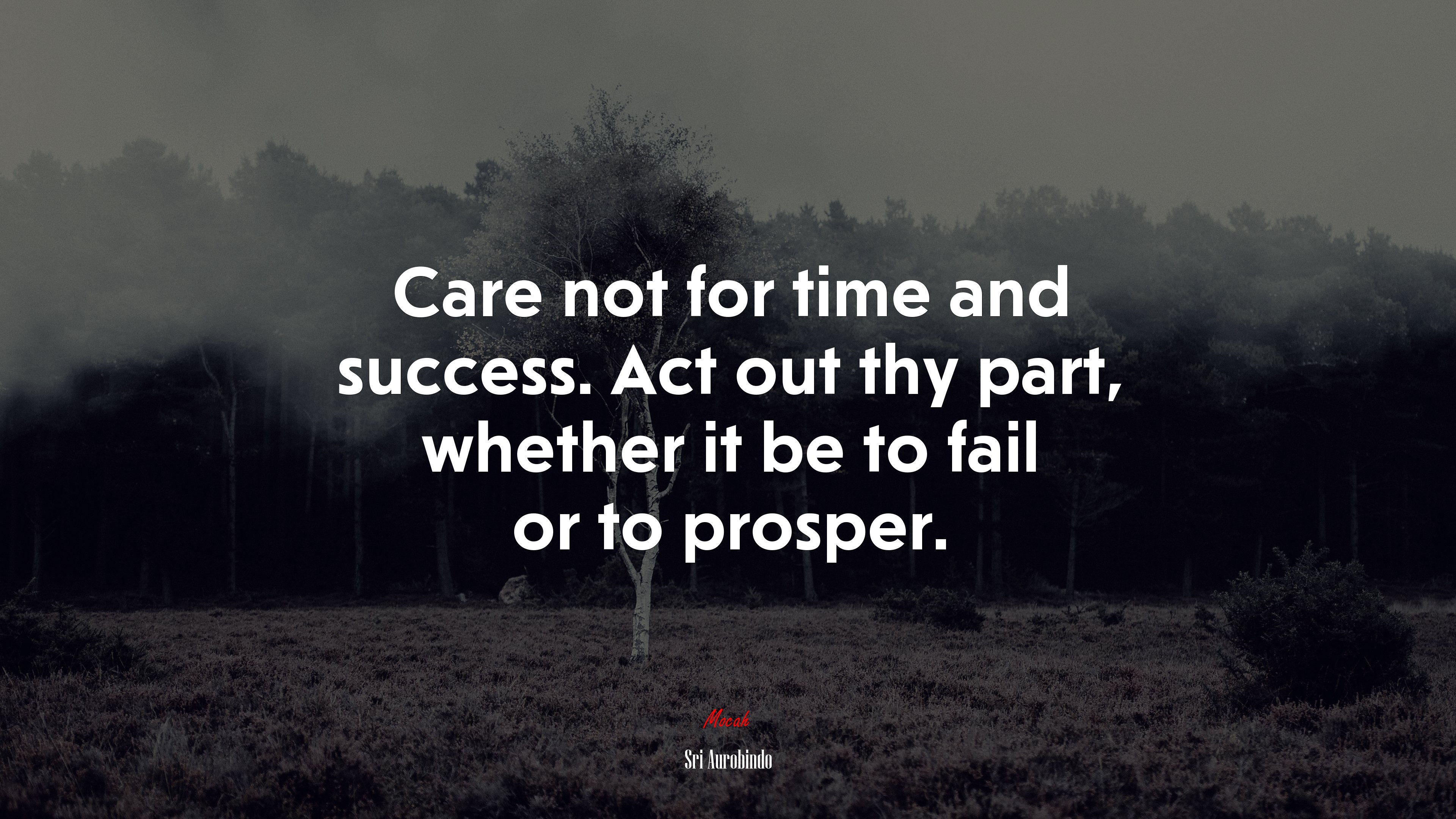 Care not for time and success. Act out thy part, whether it be to fail or to prosper. | Sri Aurobindo quote HD Wallpaper