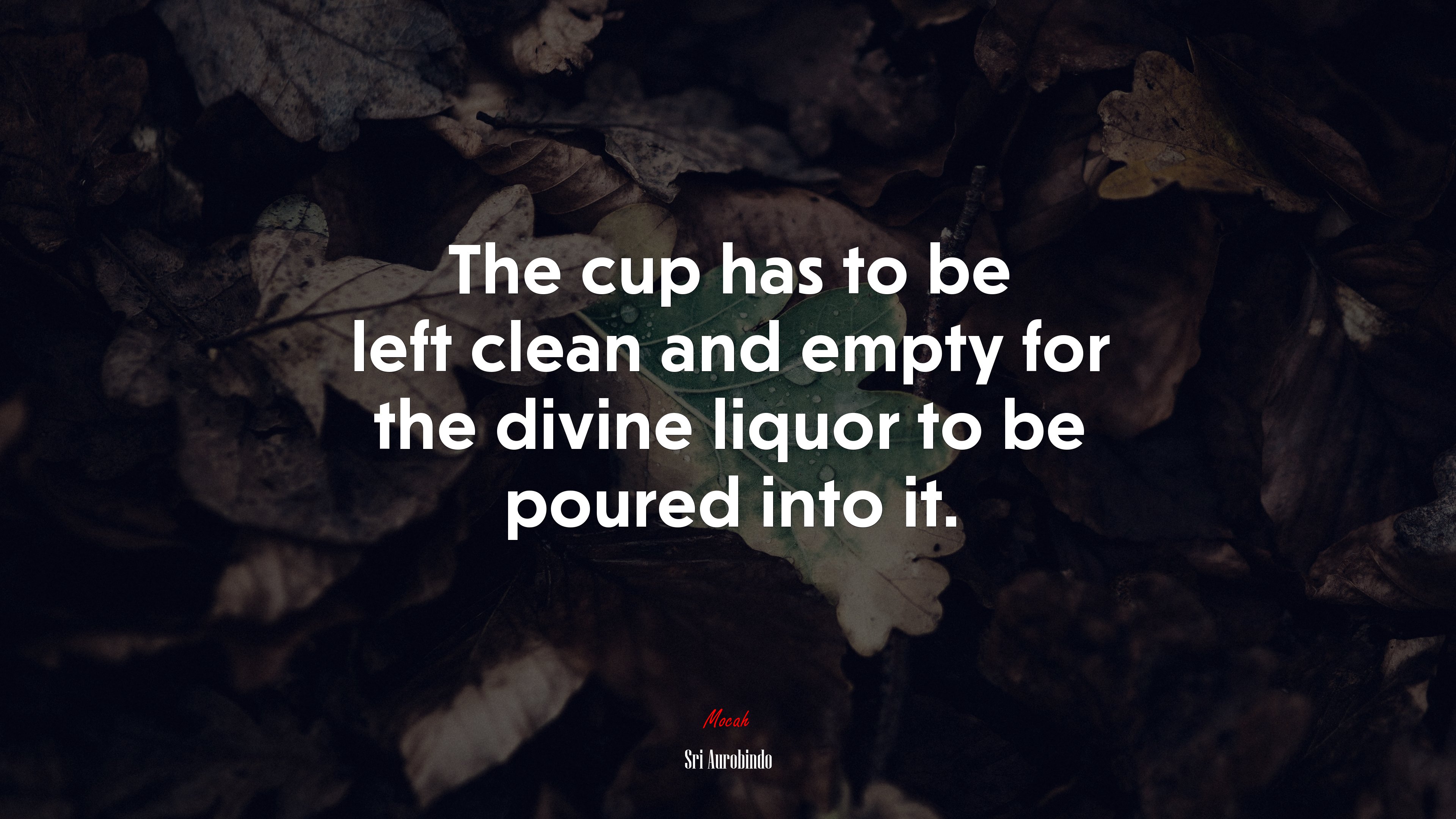 The cup has to be left clean and empty for the divine liquor to be poured into it. | Sri Aurobindo quote HD Wallpaper