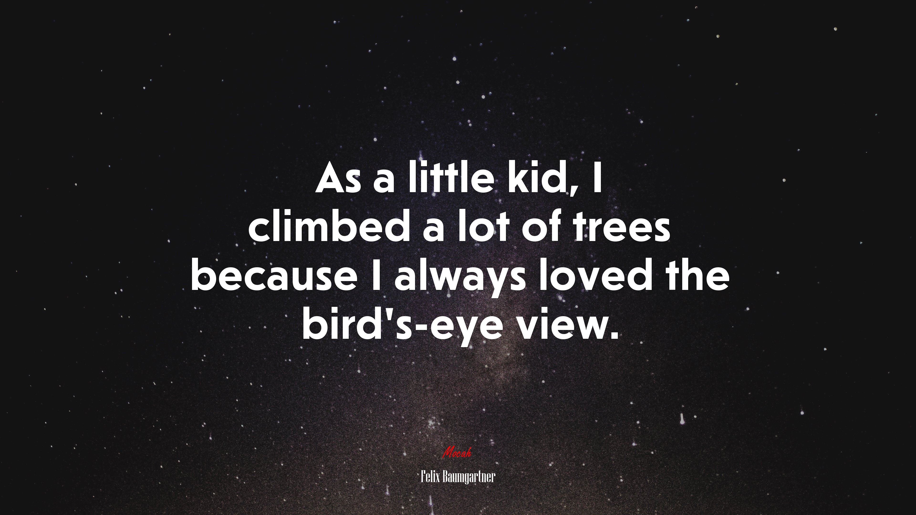 As a little kid, I climbed a lot of trees because I always loved the bird’s-eye view. | Felix Baumgartner quote HD Wallpaper
