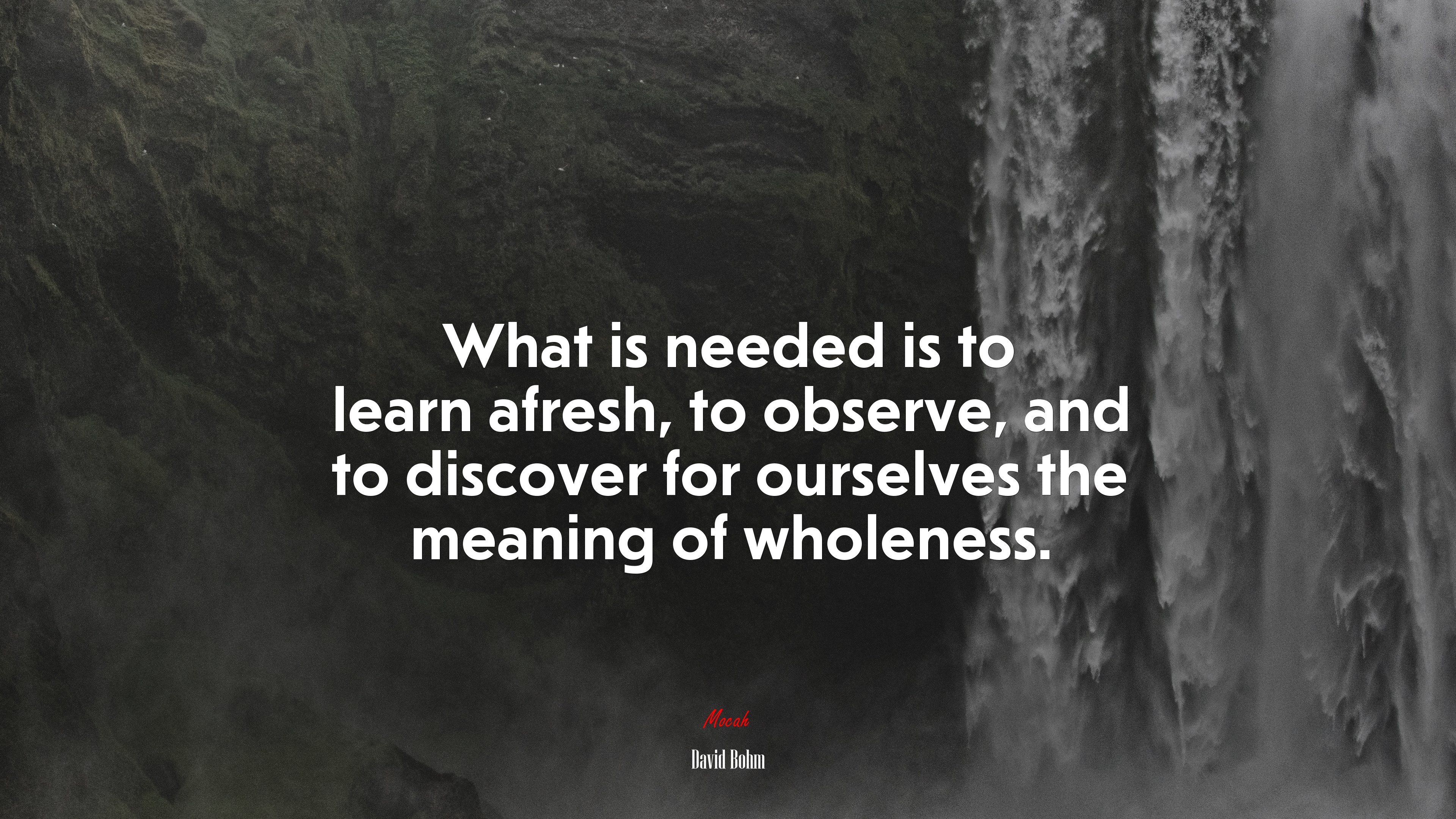 What is needed is to learn afresh, to observe, and to discover for ourselves the meaning of wholeness. | David Bohm quote HD Wallpaper