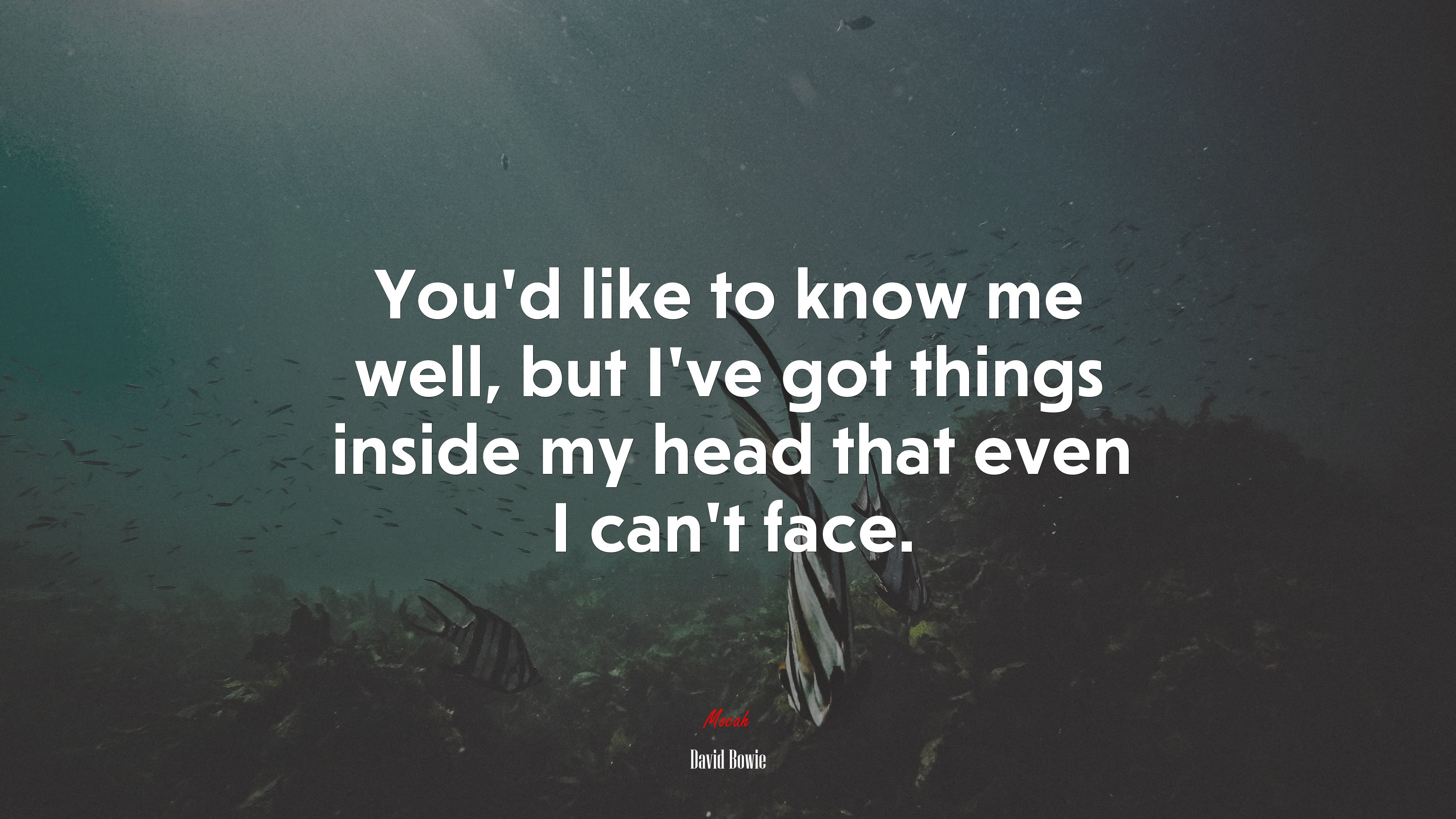 You’d like to know me well, but I’ve got things inside my head that even I can’t face. | David Bowie quote HD Wallpaper