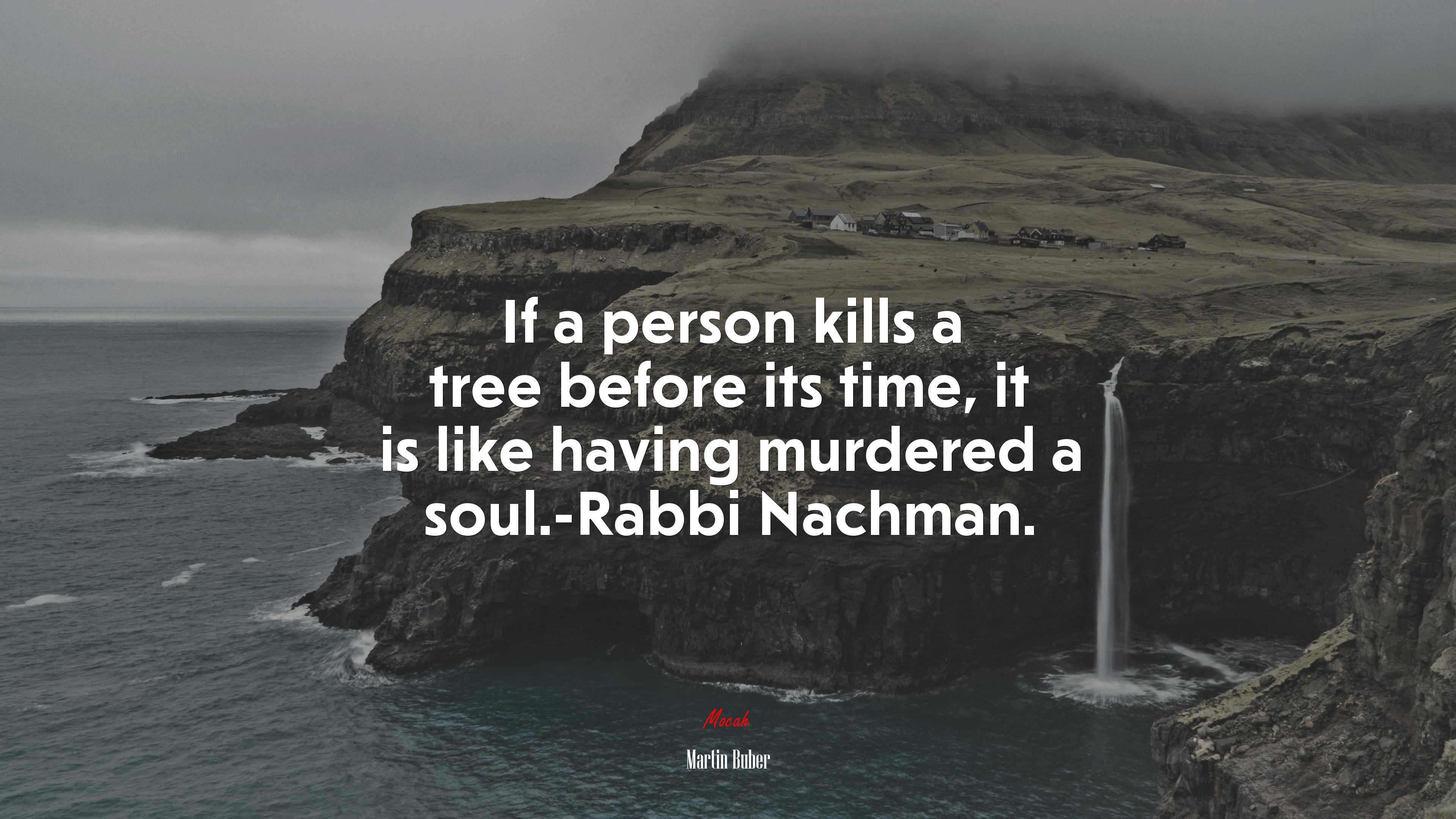 If a person kills a tree before its time, it is like having murdered a soul.-Rabbi Nachman. | Martin Buber quote HD Wallpaper