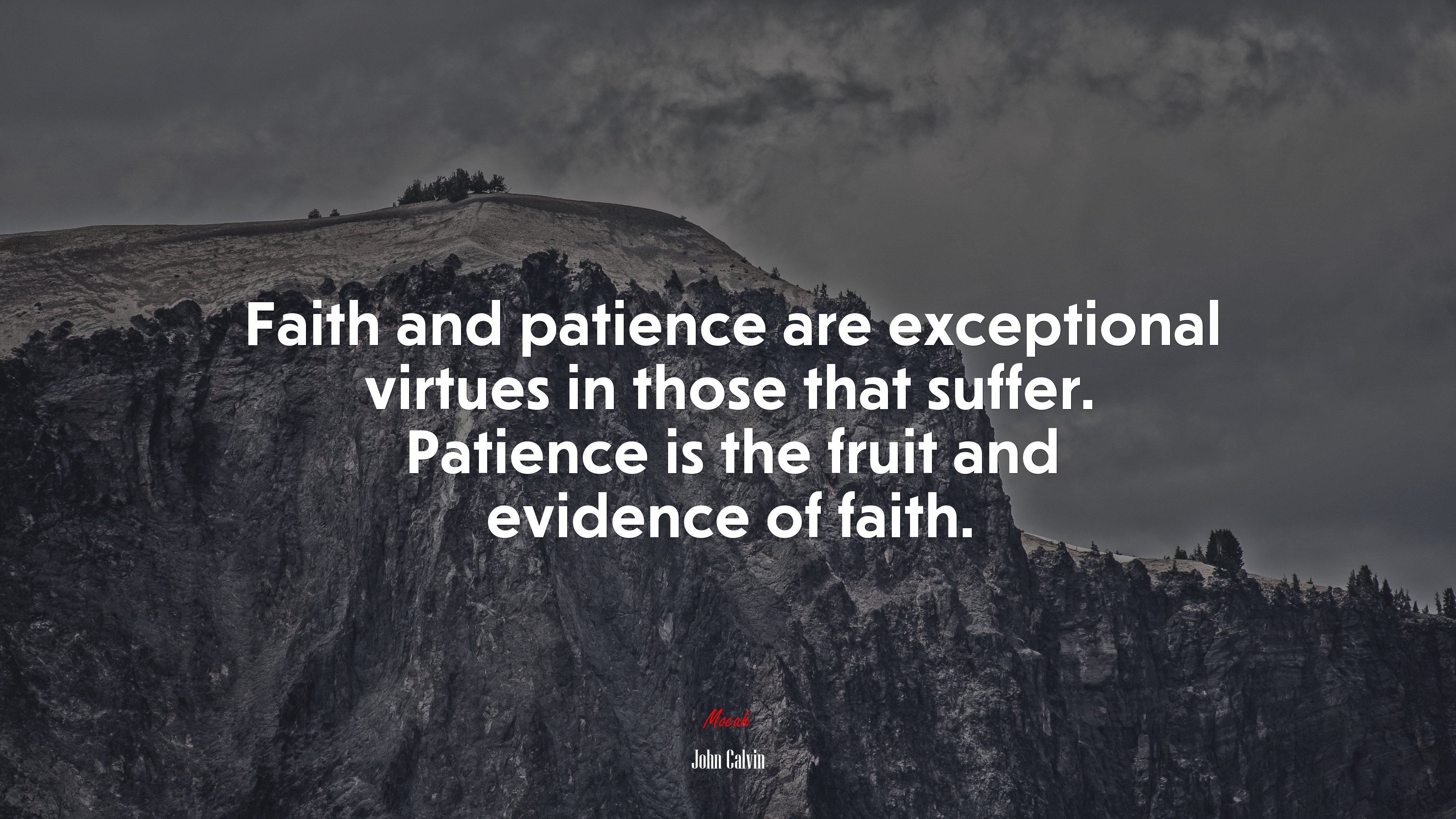 Faith and patience are exceptional virtues in those that suffer. Patience is the fruit and evidence of faith. | John Calvin quote HD Wallpaper