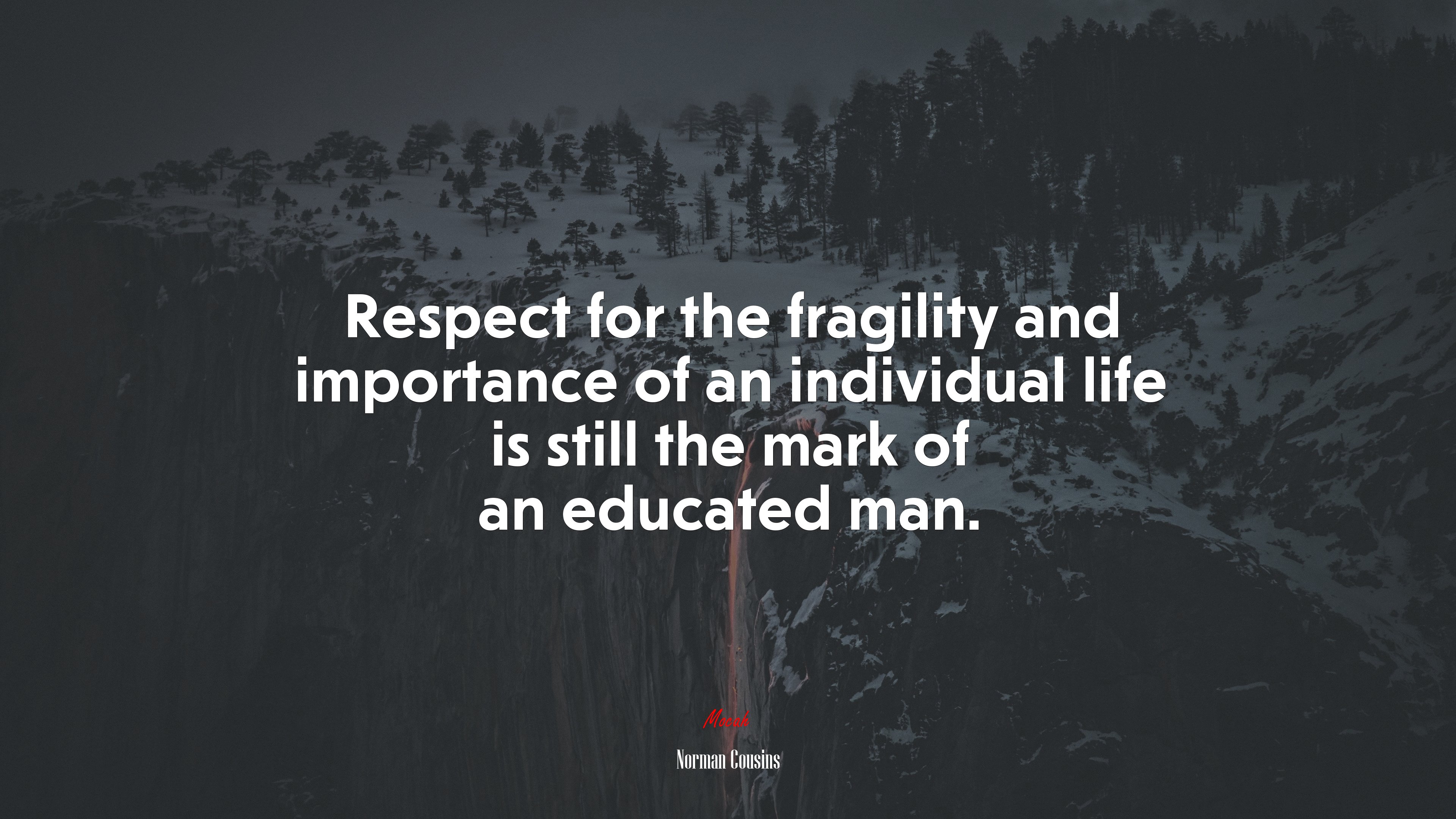 Respect for the fragility and importance of an individual life is still the mark of an educated man. | Norman Cousins quote HD Wallpaper