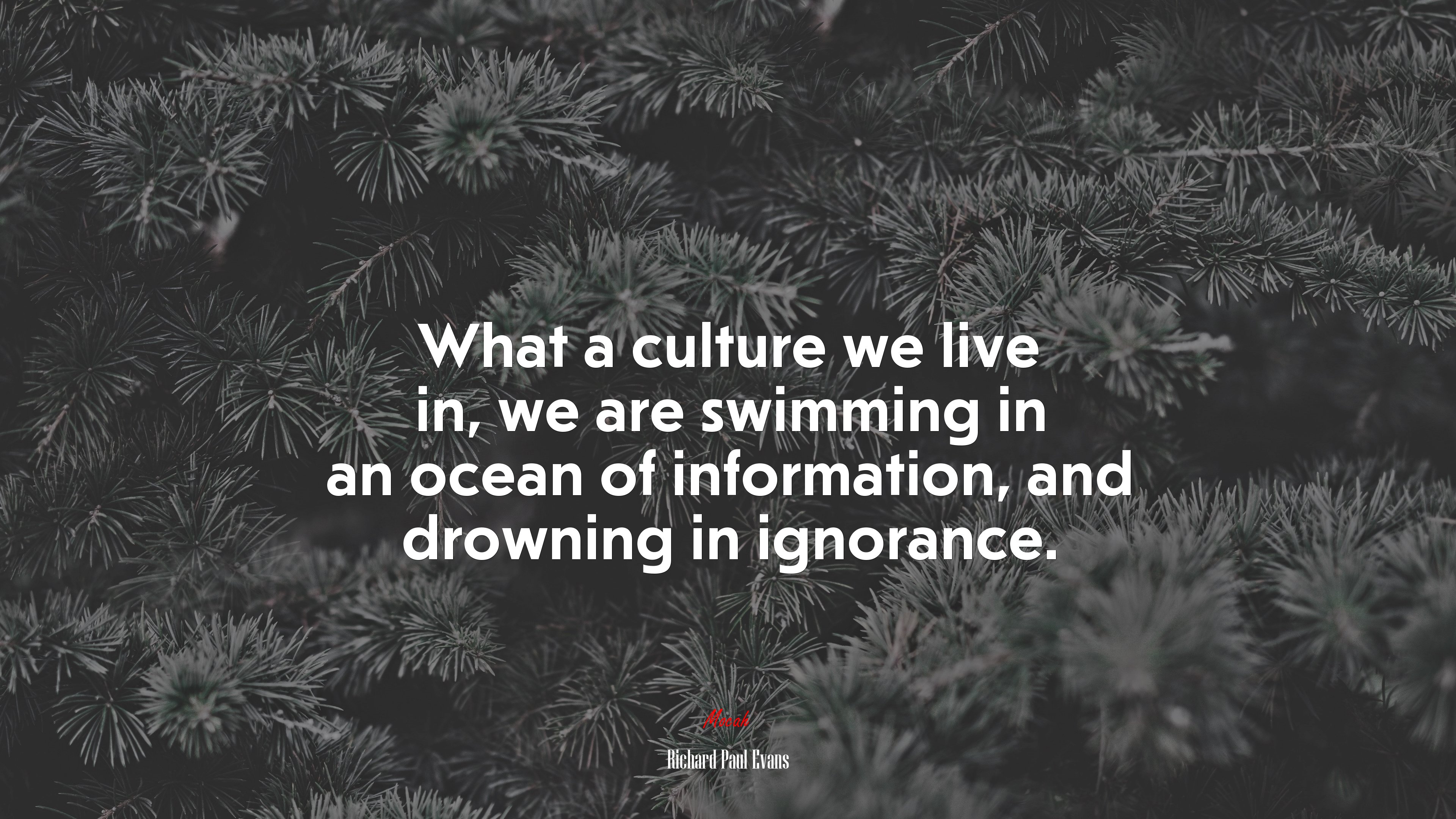 What a culture we live in, we are swimming in an ocean of information, and drowning in ignorance. | Richard Paul Evans quote HD Wallpaper