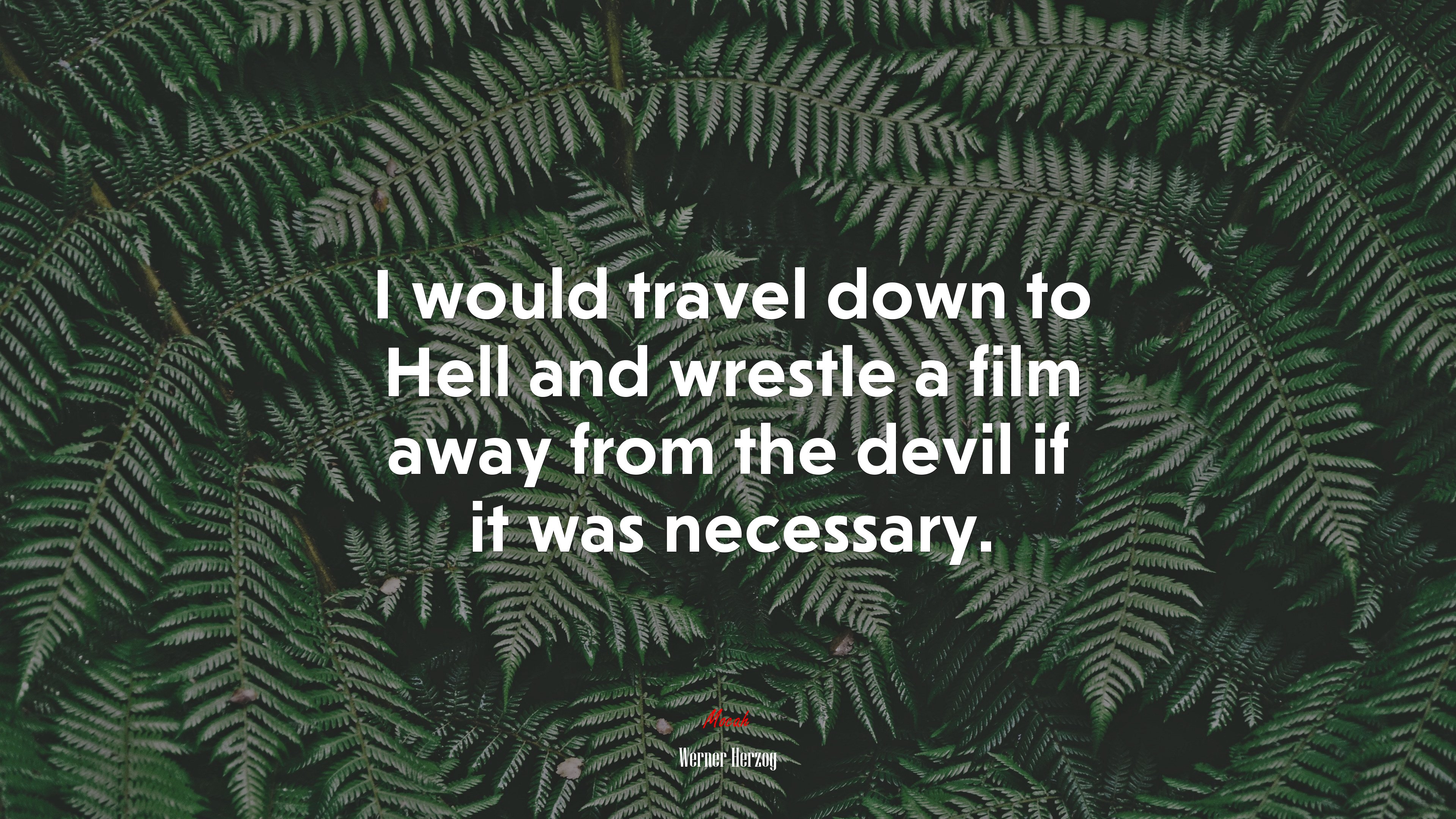 I would travel down to Hell and wrestle a film away from the devil if it was necessary. | Werner Herzog quote HD Wallpaper