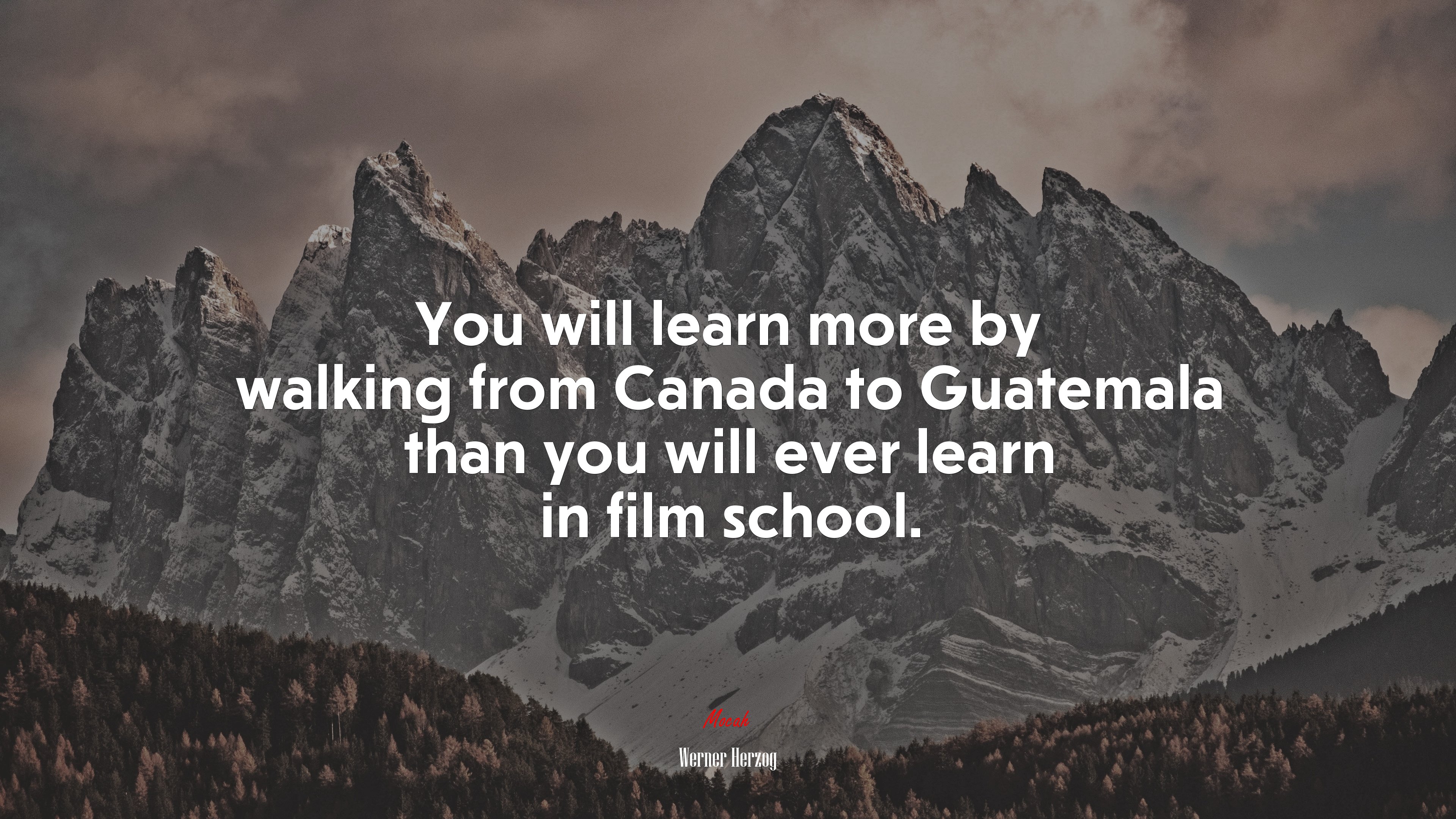 You will learn more by walking from Canada to Guatemala than you will ever learn in film school. | Werner Herzog quote HD Wallpaper