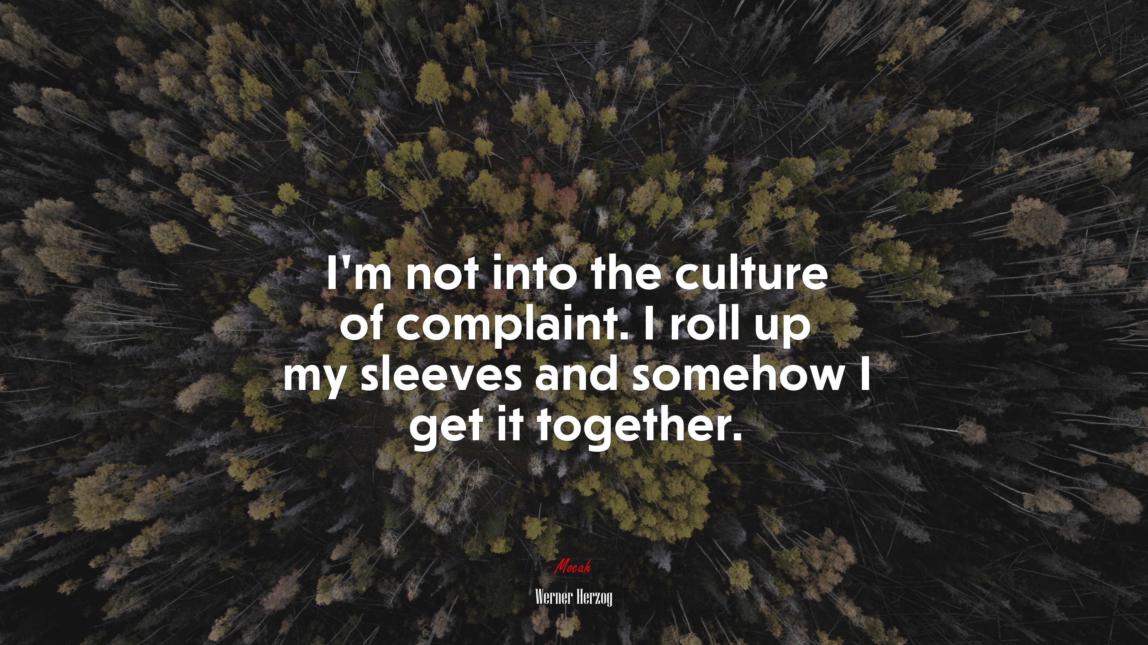 I’m not into the culture of complaint. I roll up my sleeves and somehow I get it together. | Werner Herzog quote HD Wallpaper