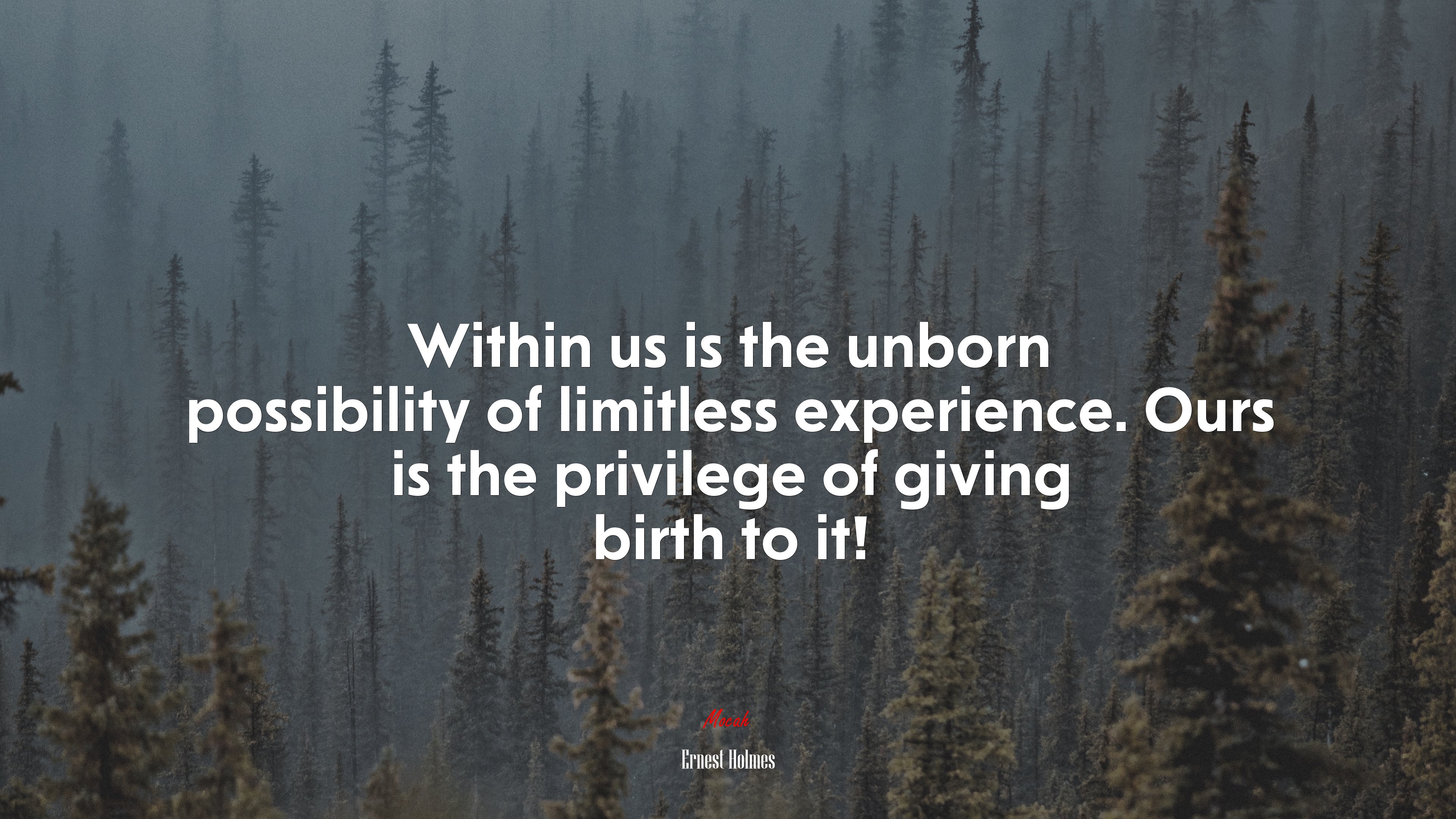 Within us is the unborn possibility of limitless experience. Ours is the privilege of giving birth to it! | Ernest Holmes quote HD Wallpaper